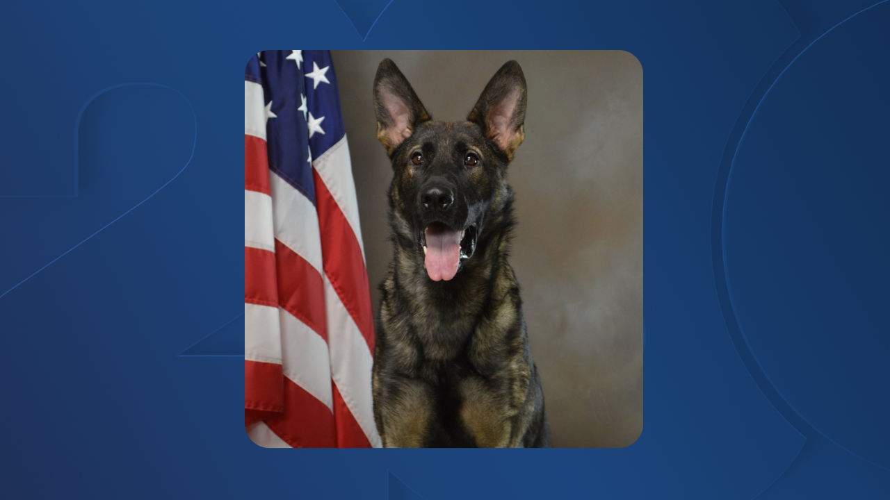 Bakersfield Police Department K9 Jax (FILE)