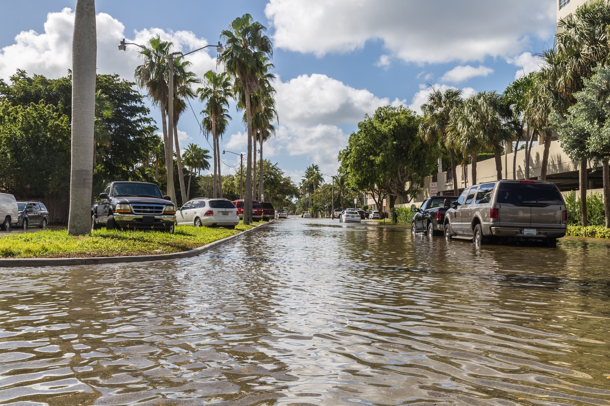 king tide