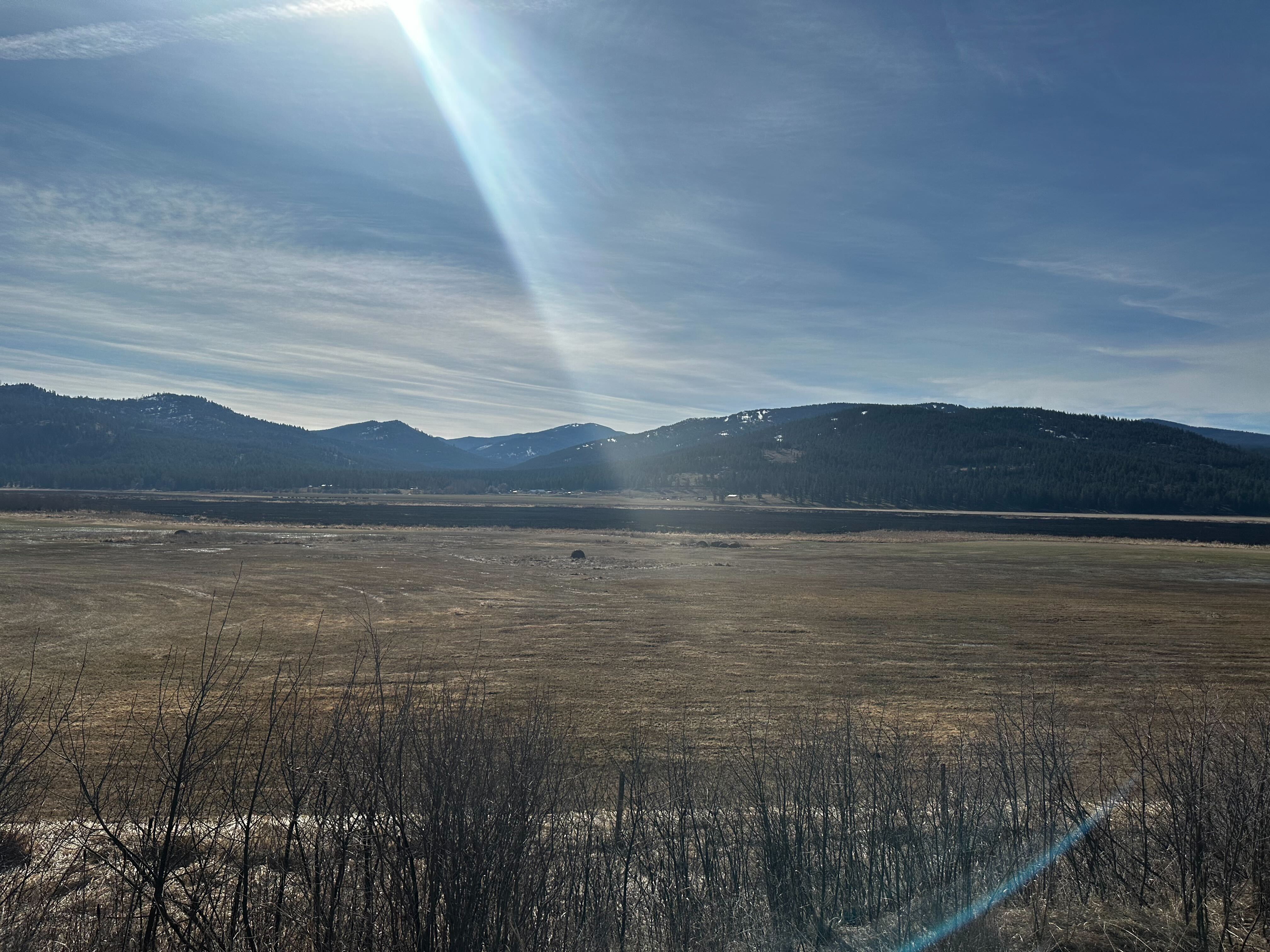Kila Wildfire