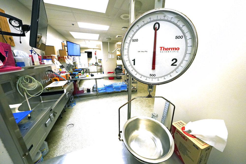 Medical Examiners Mississippi