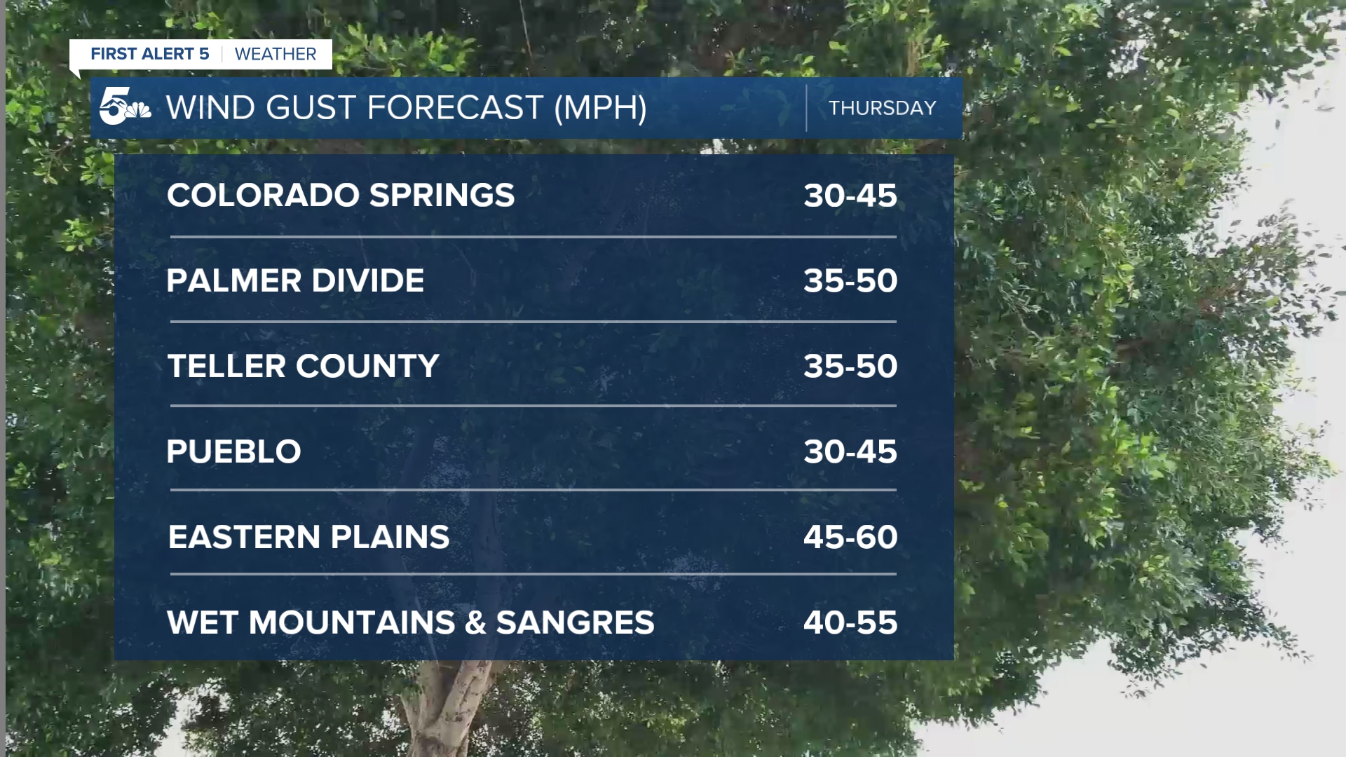Wind Gust Forecast