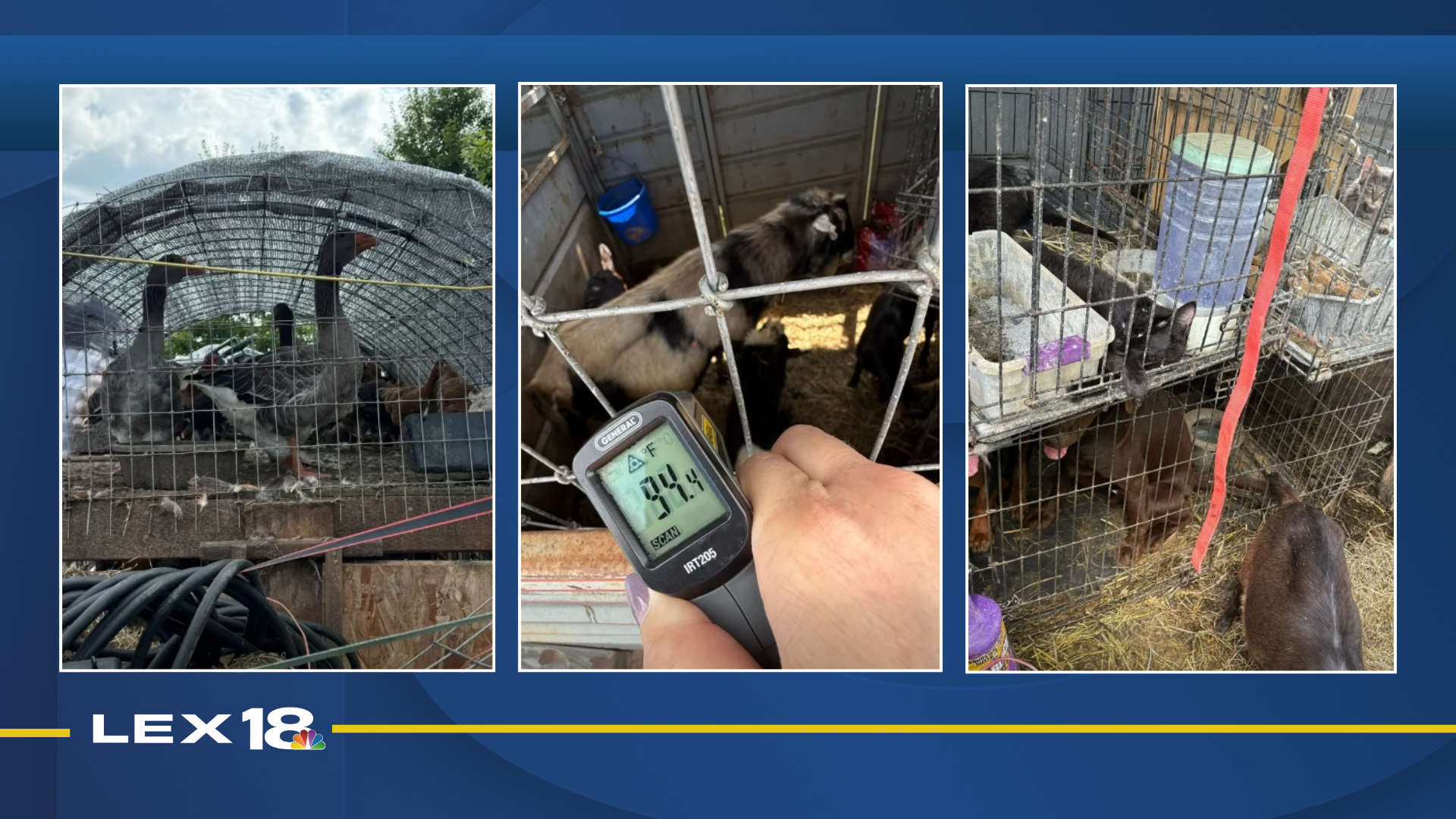 Featured Image Custom Edit (8).png