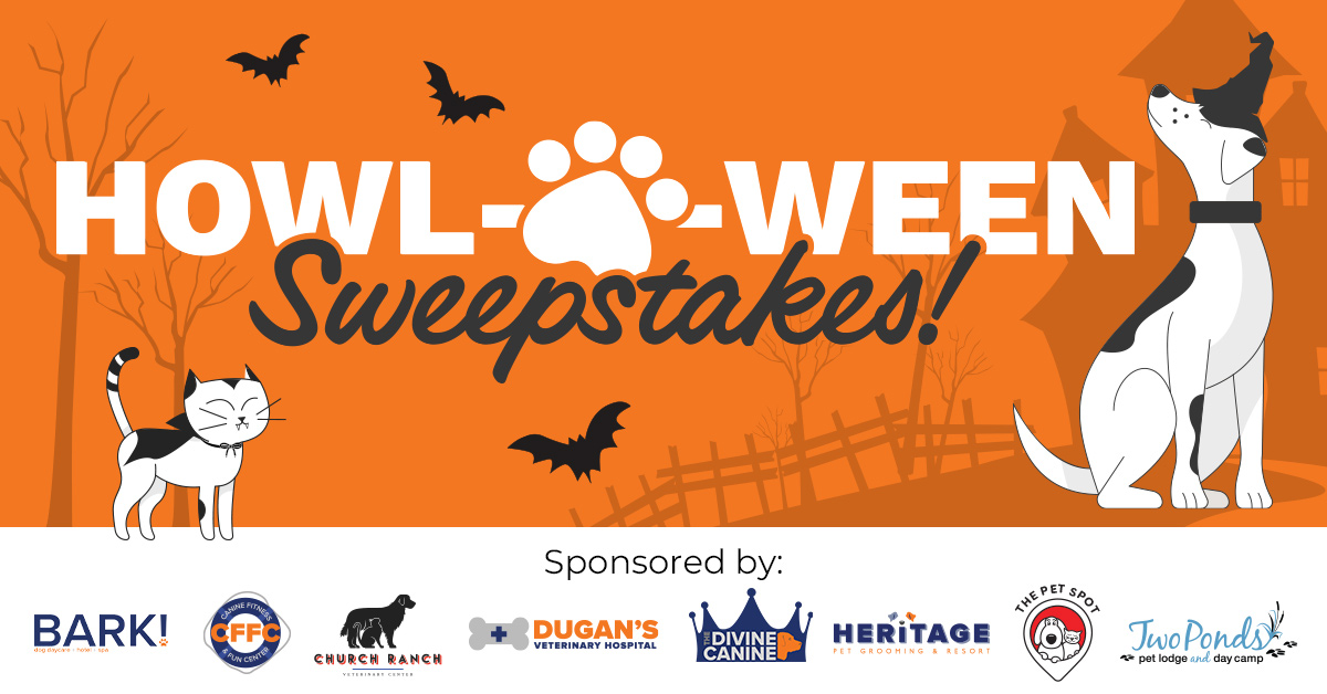 KMGH-61836-DestinationPetHowloweenSweepstakes_1200x628.jpg