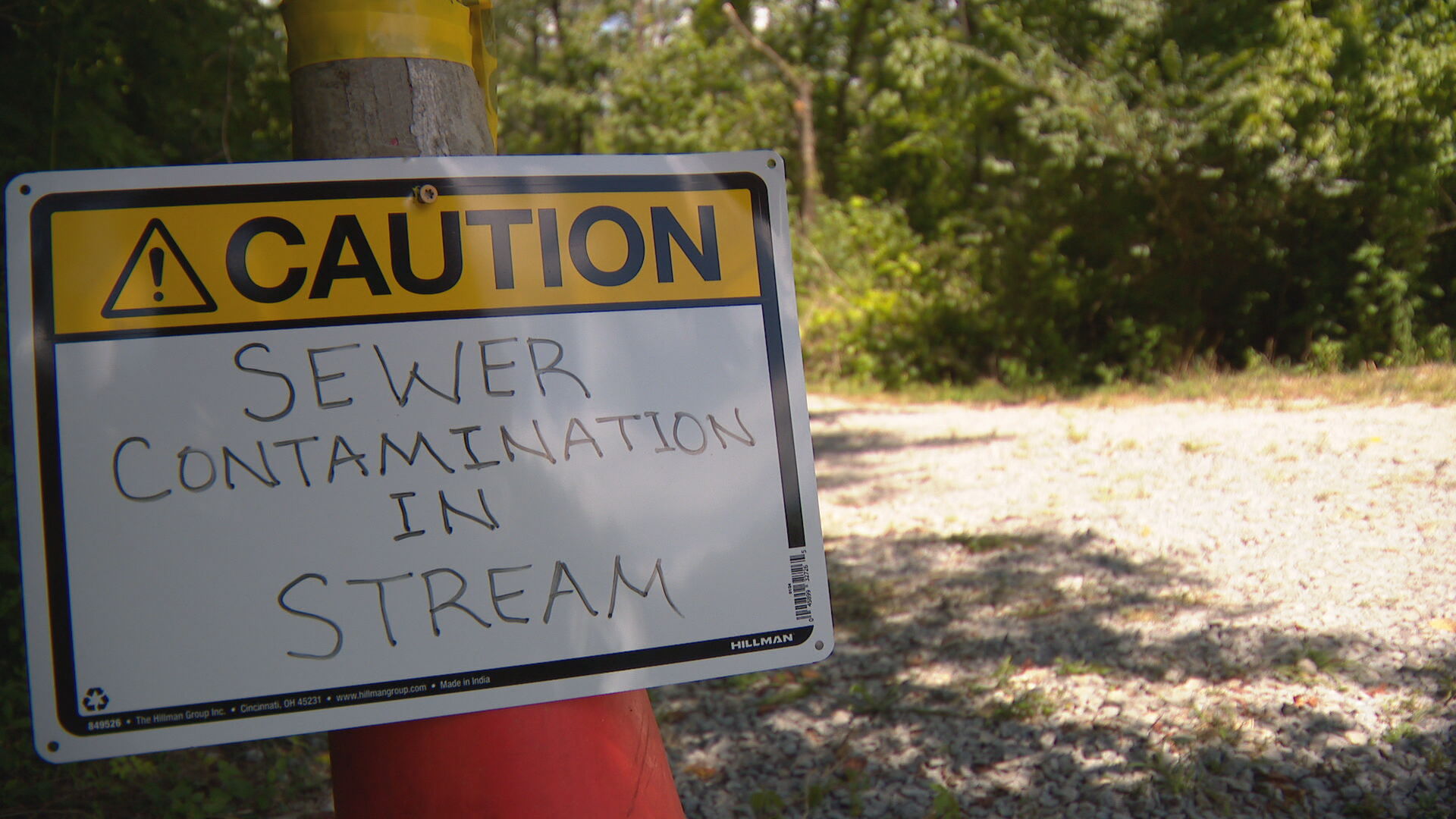 Sewage in Cartwright Creek issue