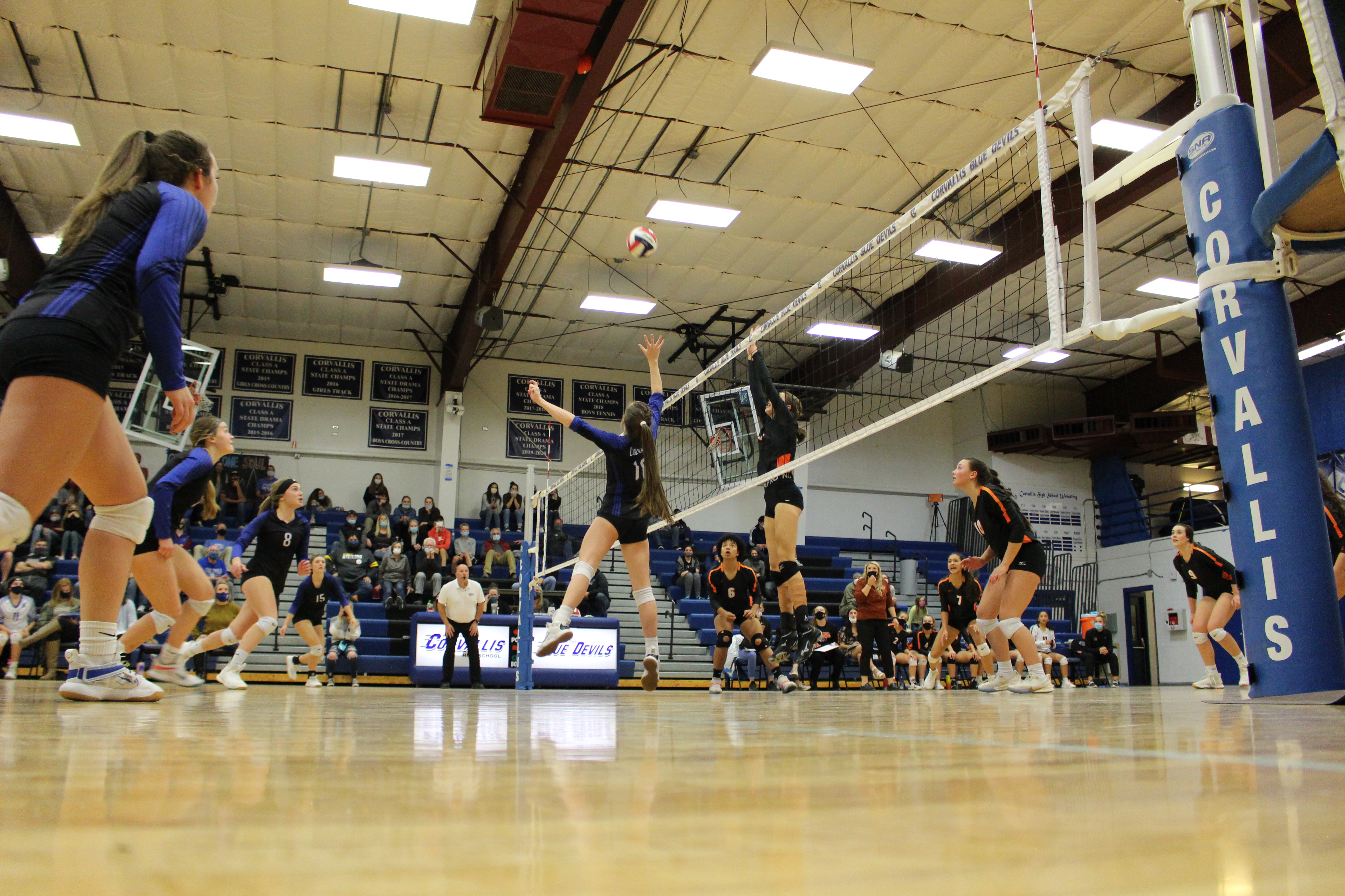 corvallis volleyball