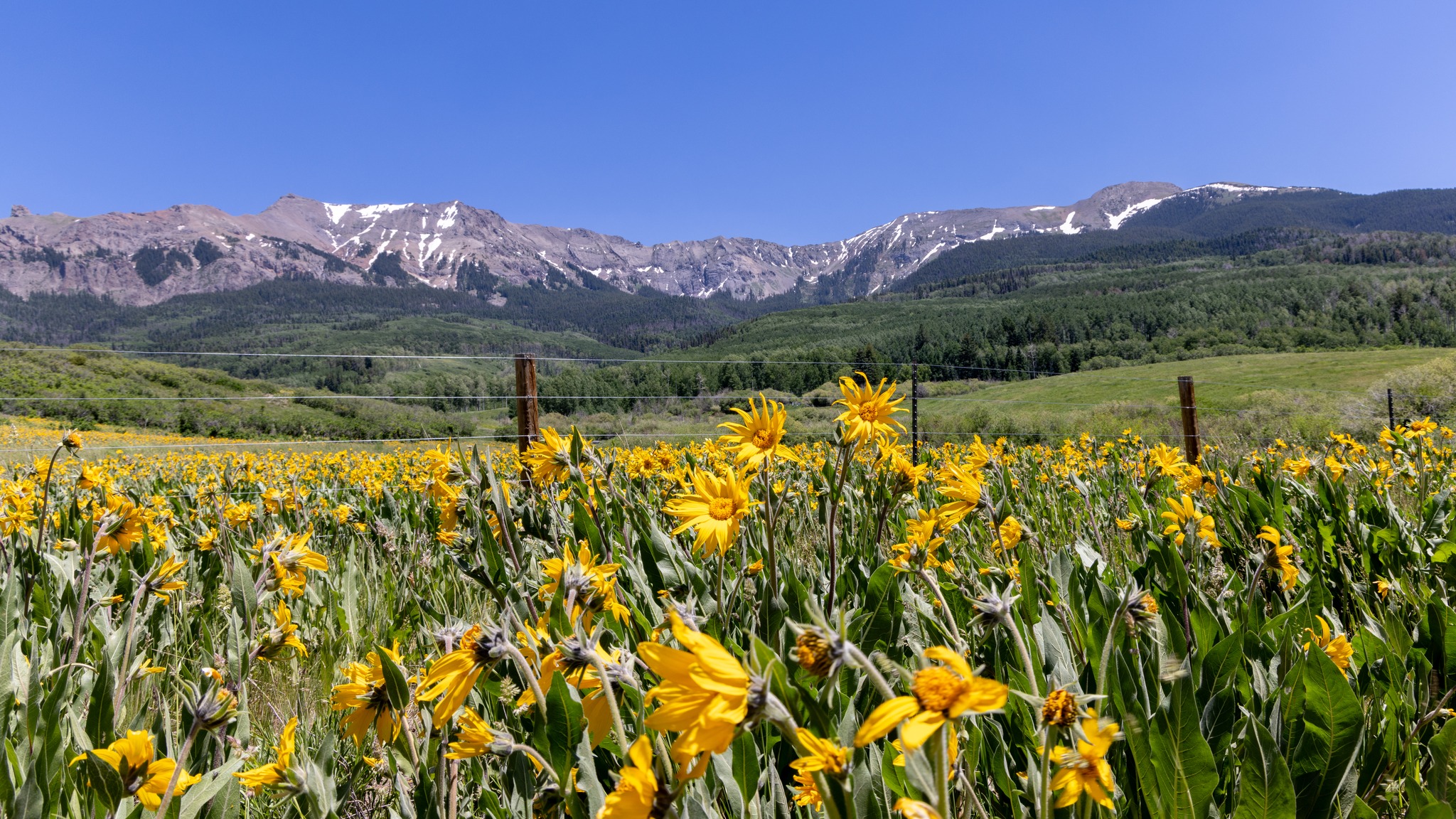 san juan range mountains robert white photography.jpg