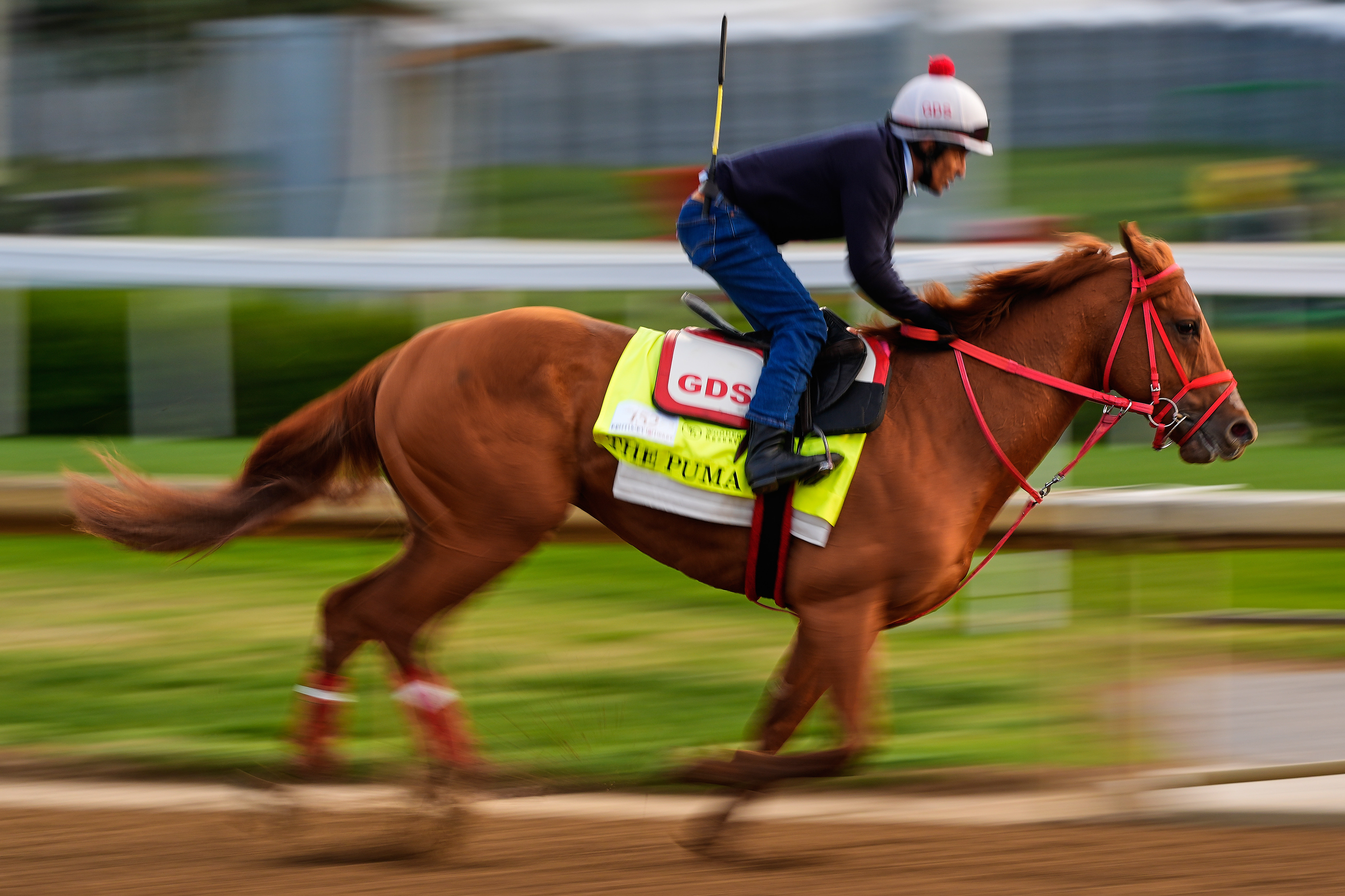Kentucky Derby Horse Racing