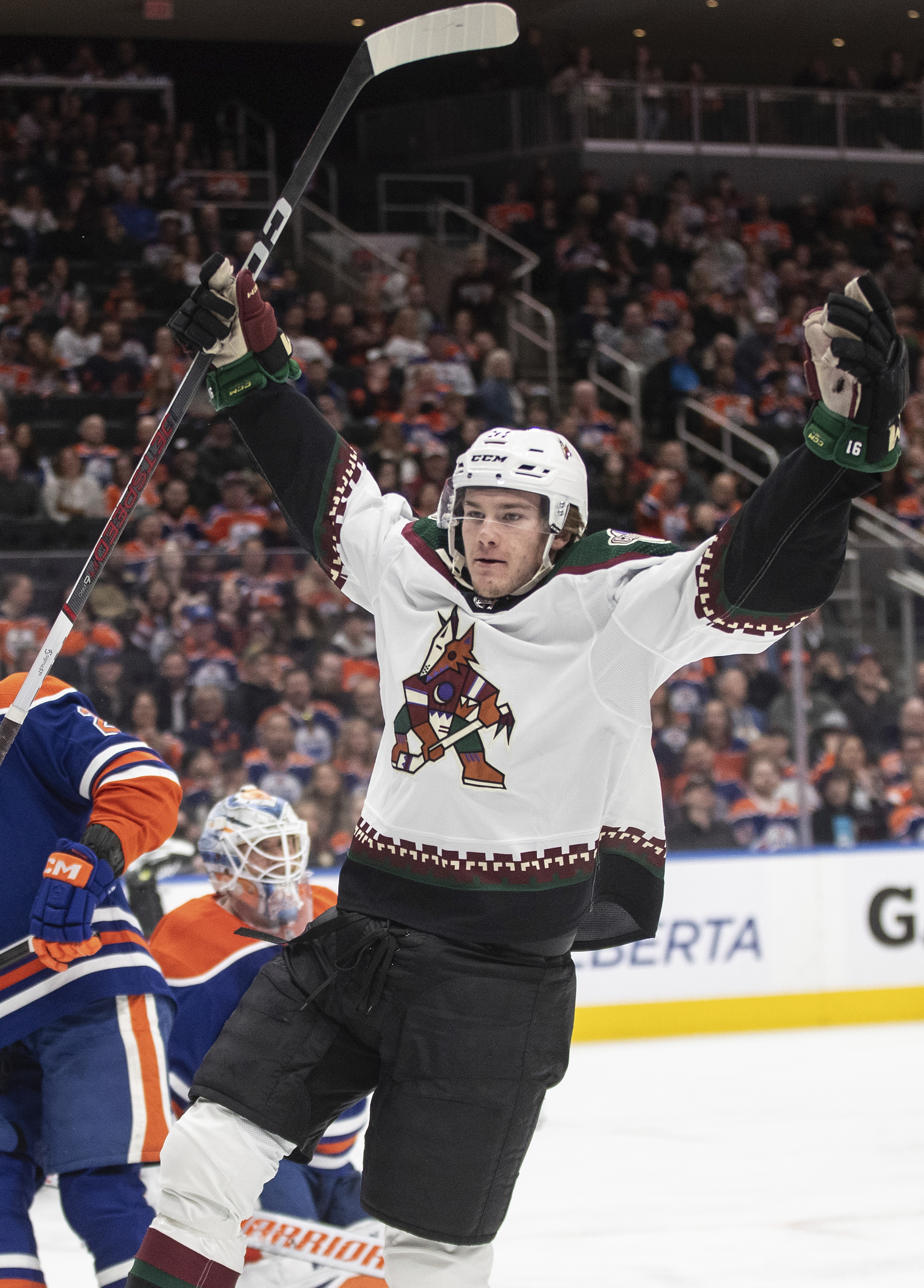 Coyotes Oilers Hockey