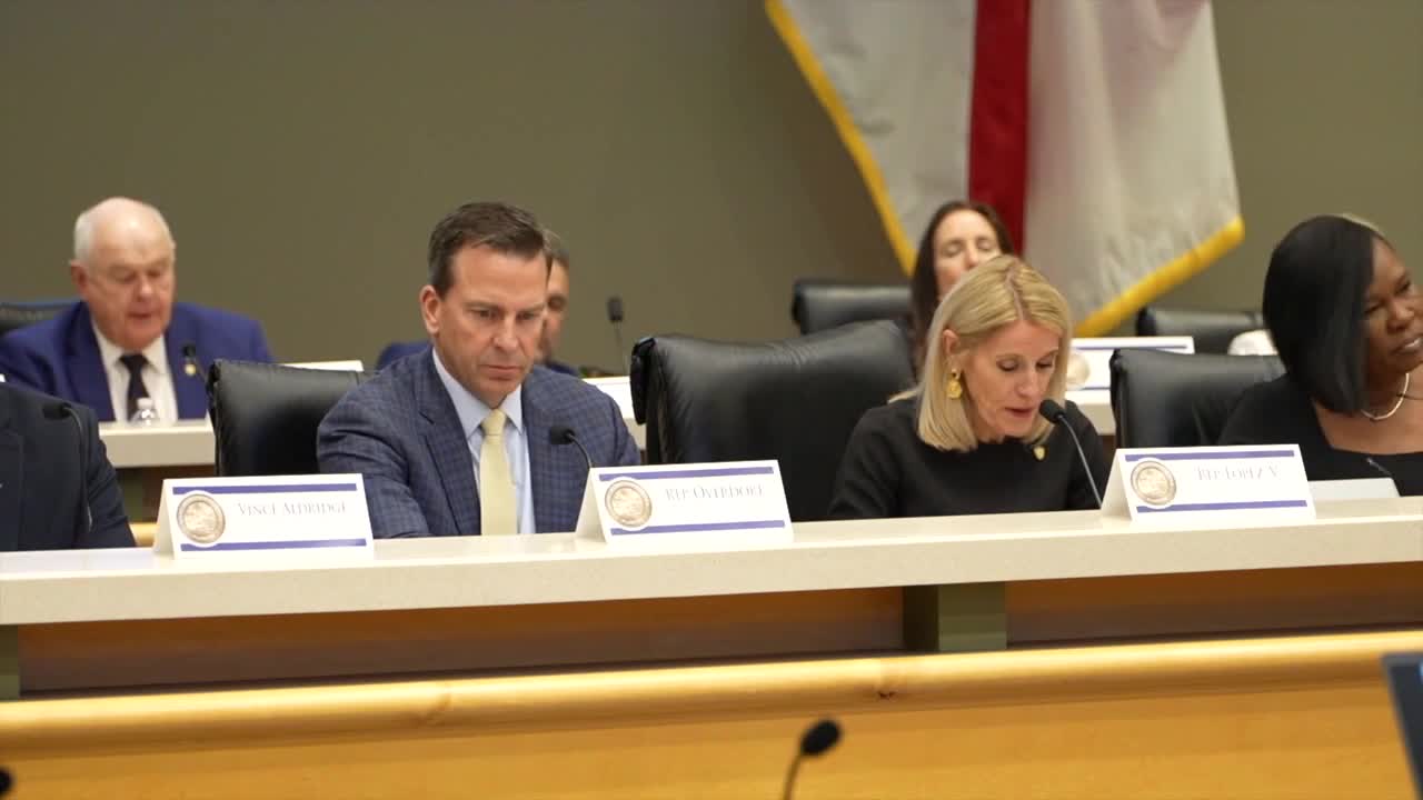 Florida House Panel Pushes Forward on Property Tax Reform Without Governor's Support