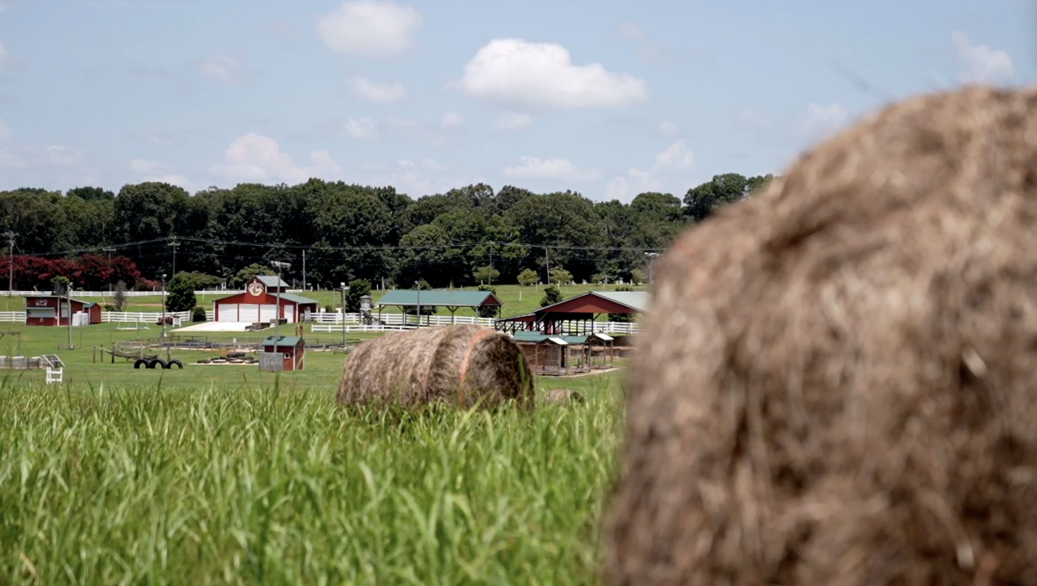 Agritourism, which invites visitors onto farms for a variety of activities, is now one of the fastest-growing parts of the farming landscape in the U.S.