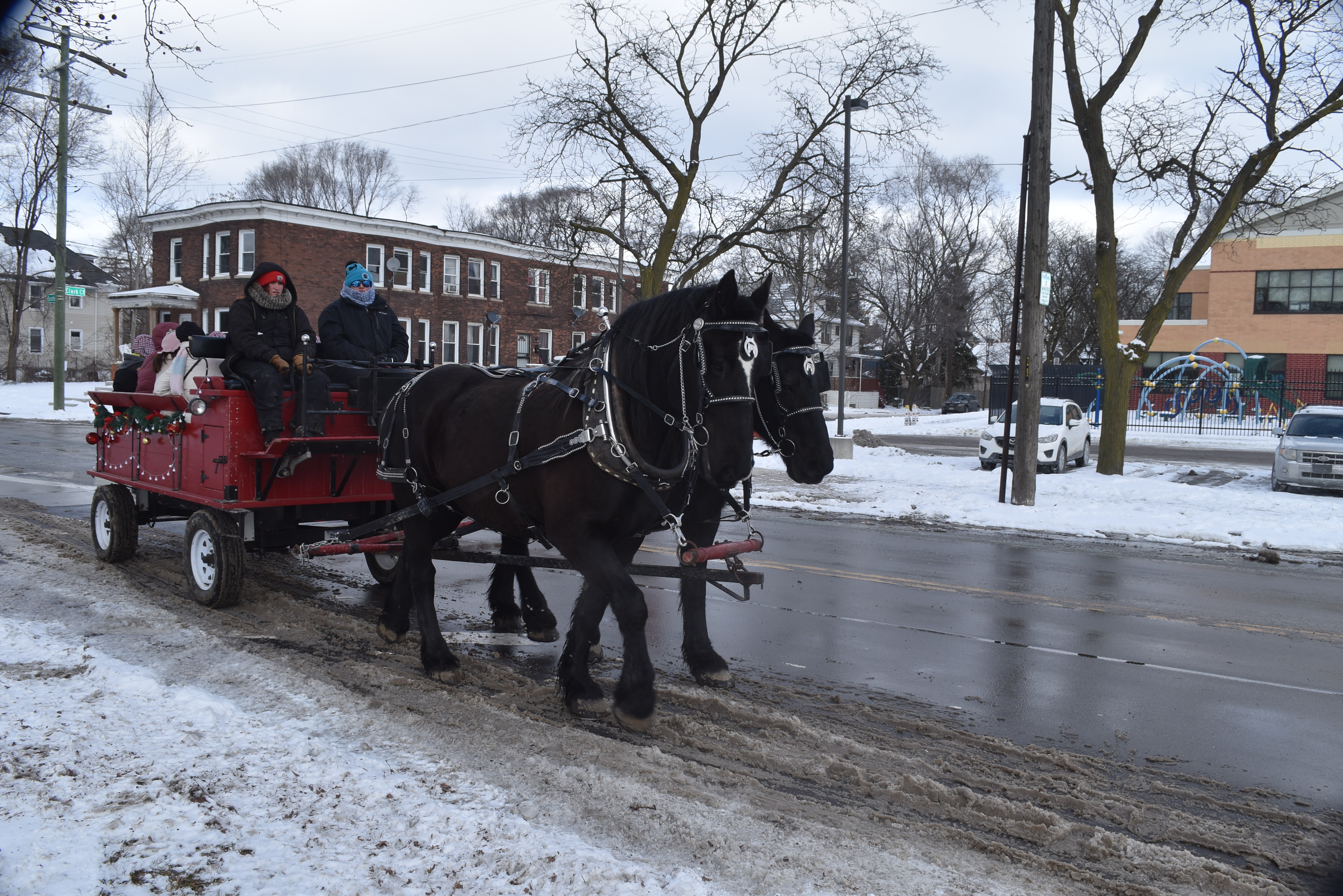 Carriage Rides.jfif