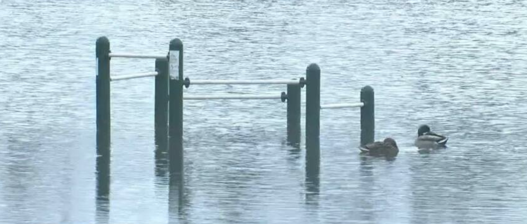 Truxton Park Flooding