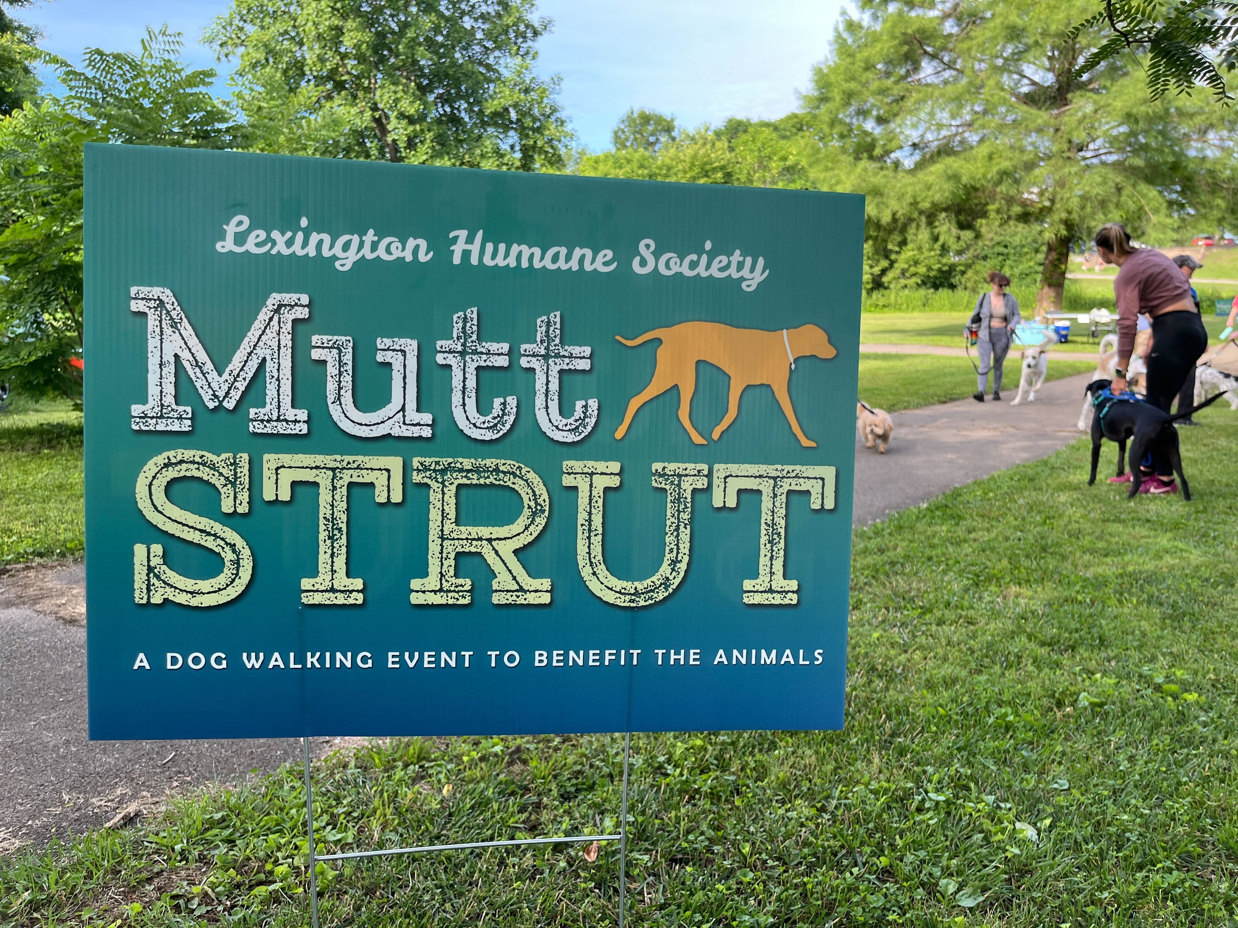 Mutt Strut