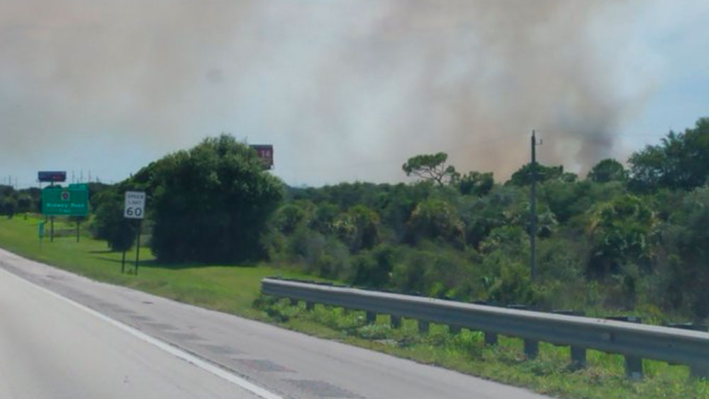 wptv-st-lucie-brushfire.-.jpg