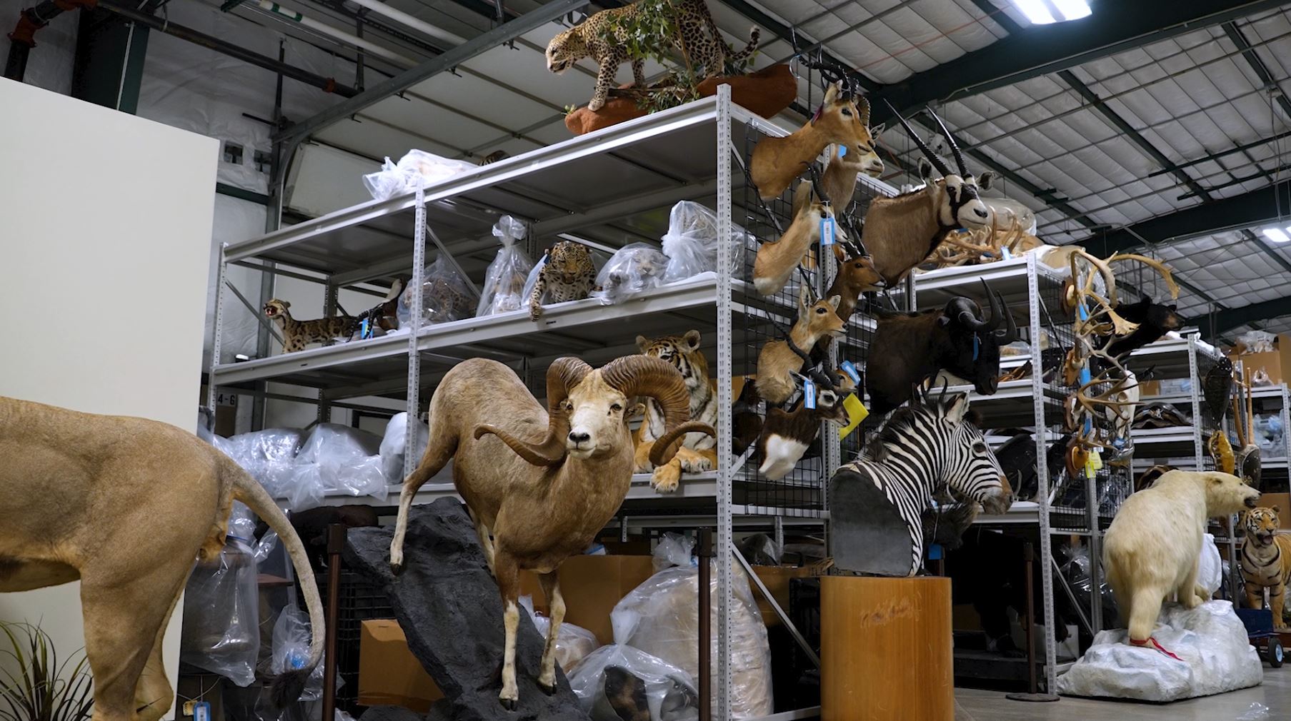 National Wildlife Property Respository