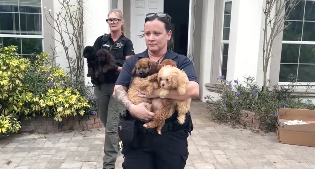 Collier County investigation