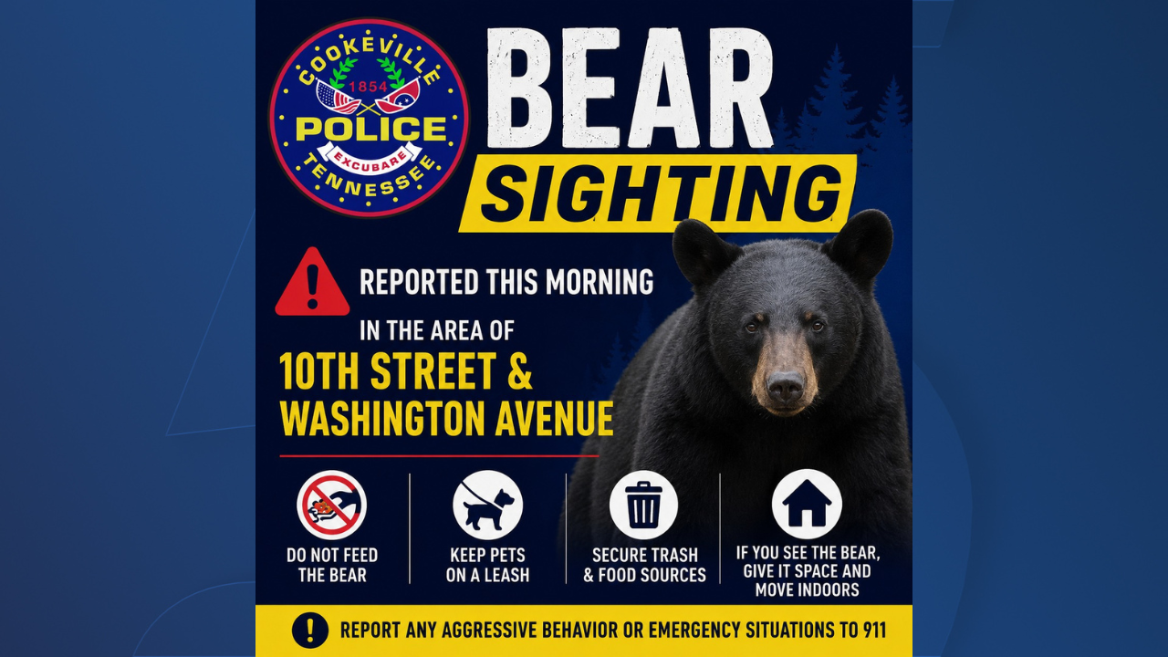 Bear spotted in Cookeville area, police urge caution