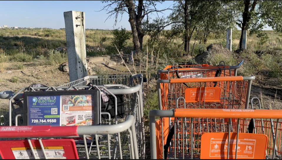 Pueblo Shopping Carts 