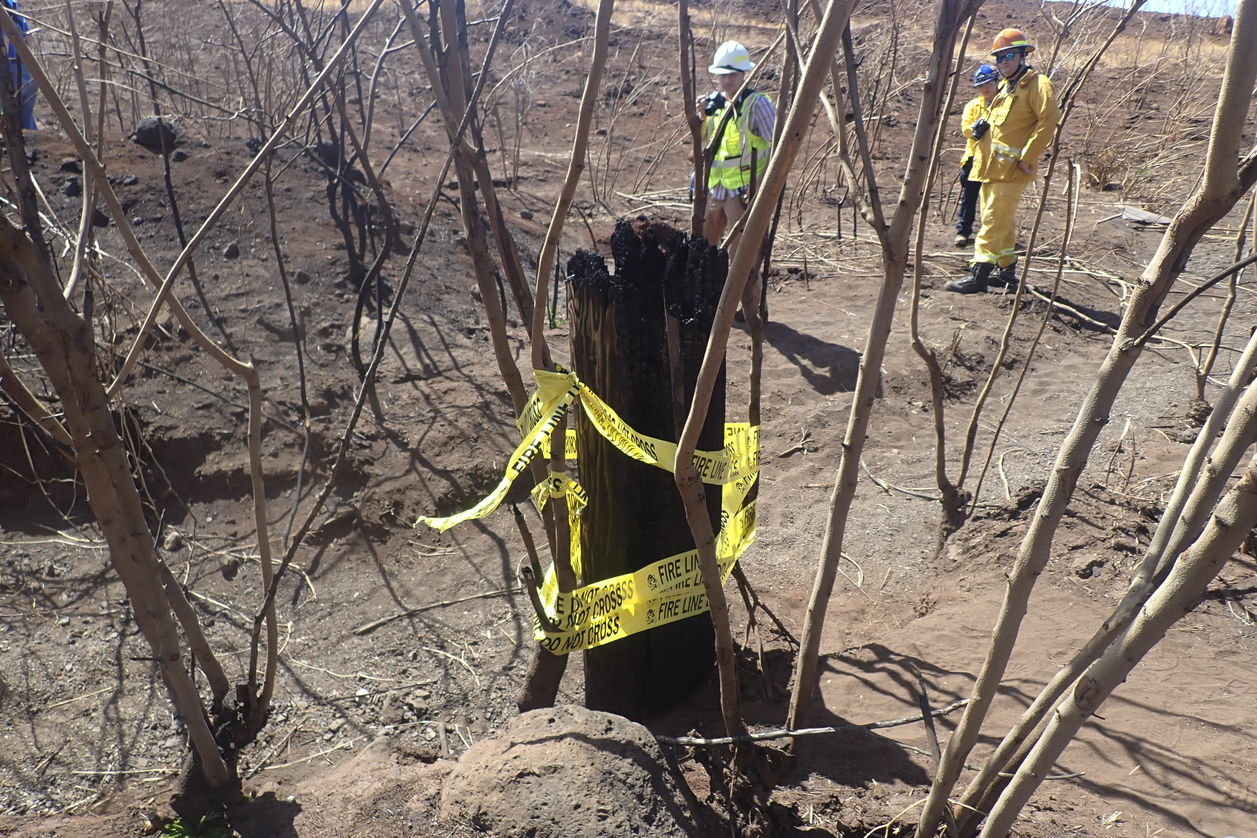 Hawaii Wildfire Investigation