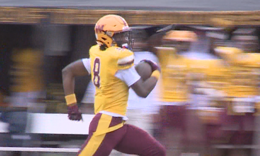 WARWICK TERIUS BROWN