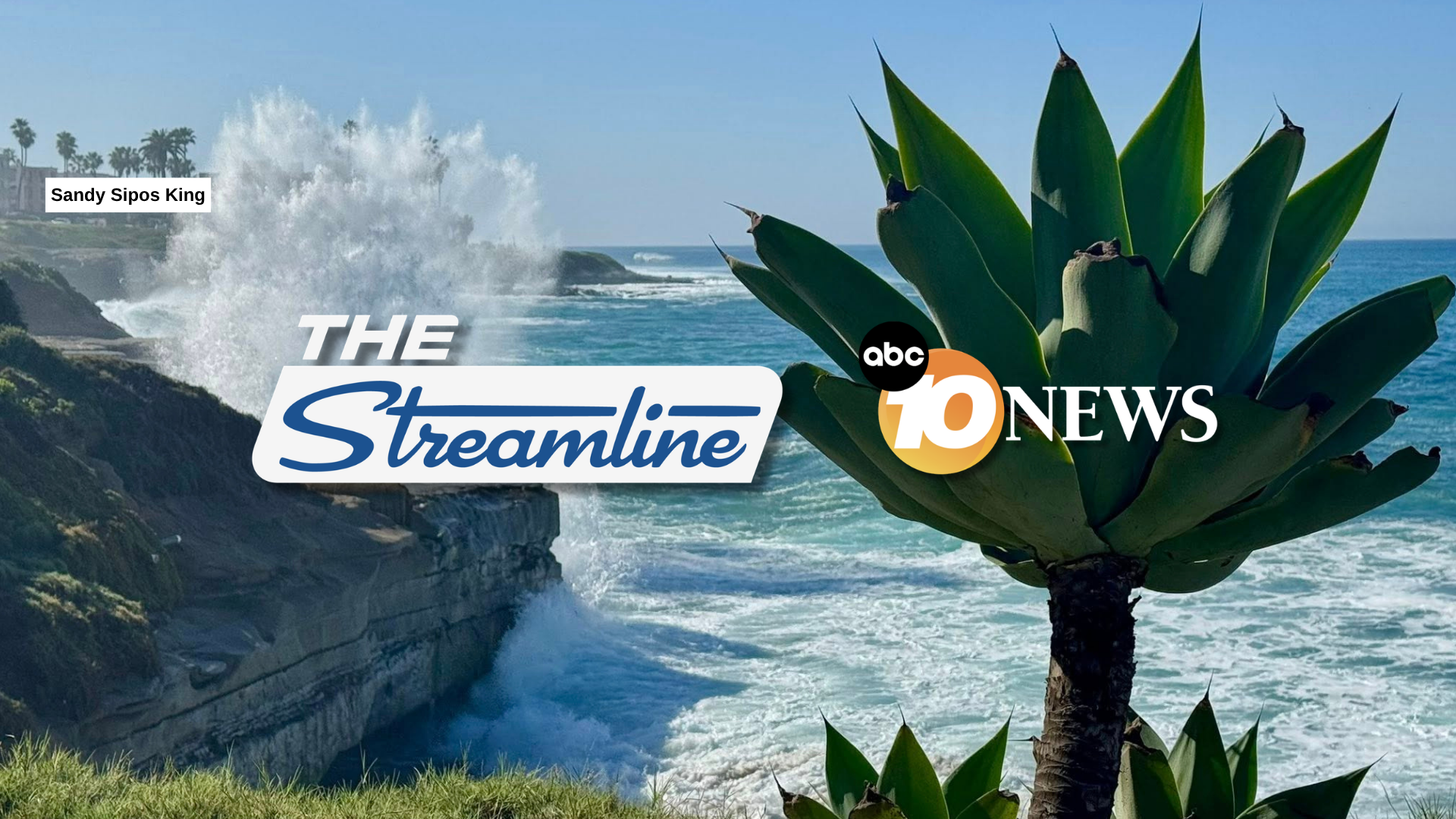 streamline_sandy_sipos_king_la_jolla.png