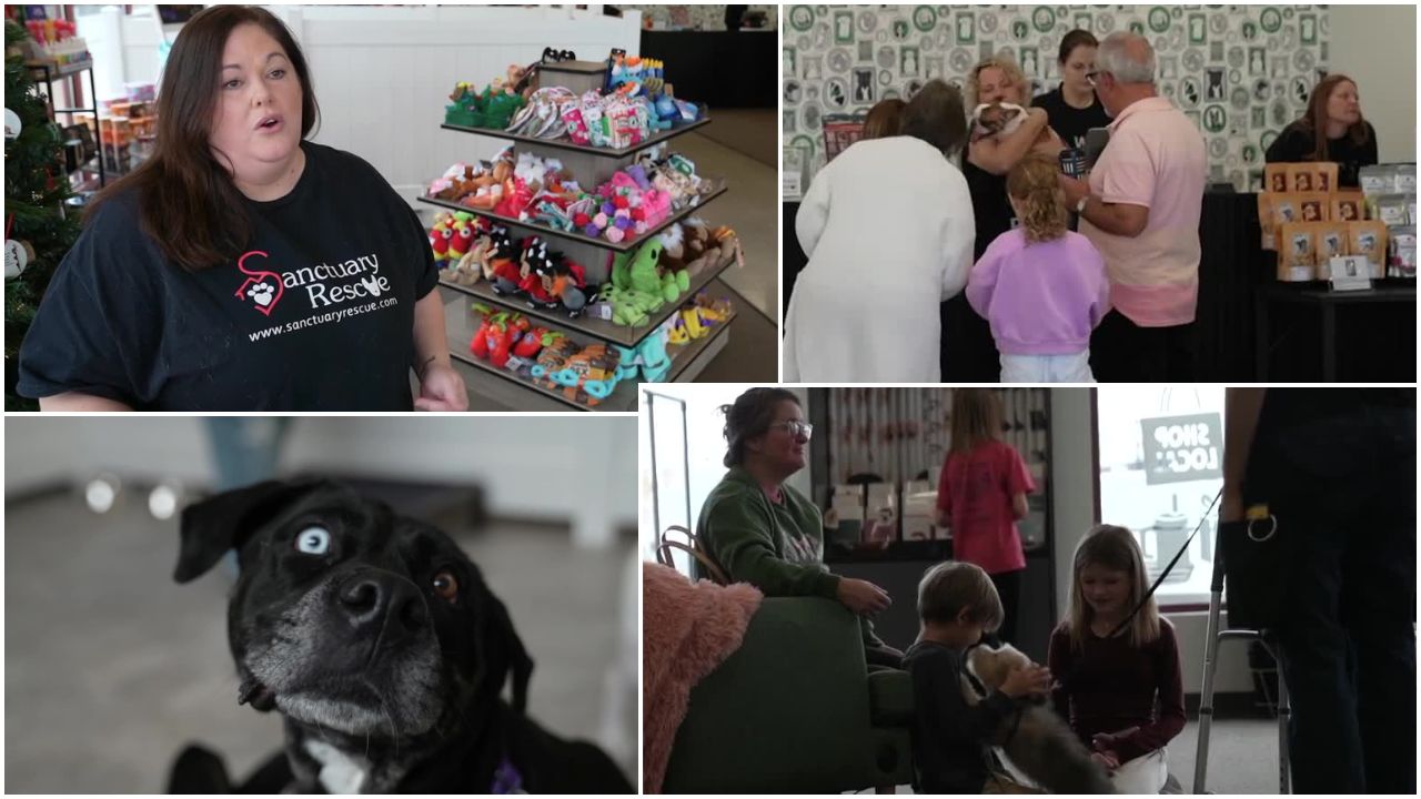 Sanctuary Rescue celebrated the grand opening of its "rescue-to-retail" store