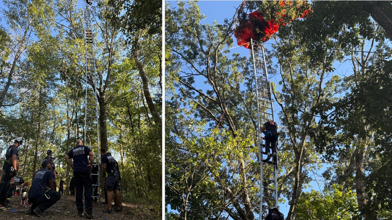 Nashville Fire Department crews use ladders and a pulley system to rescue a skydiver suspended in a tree near John C. Tune Airport.