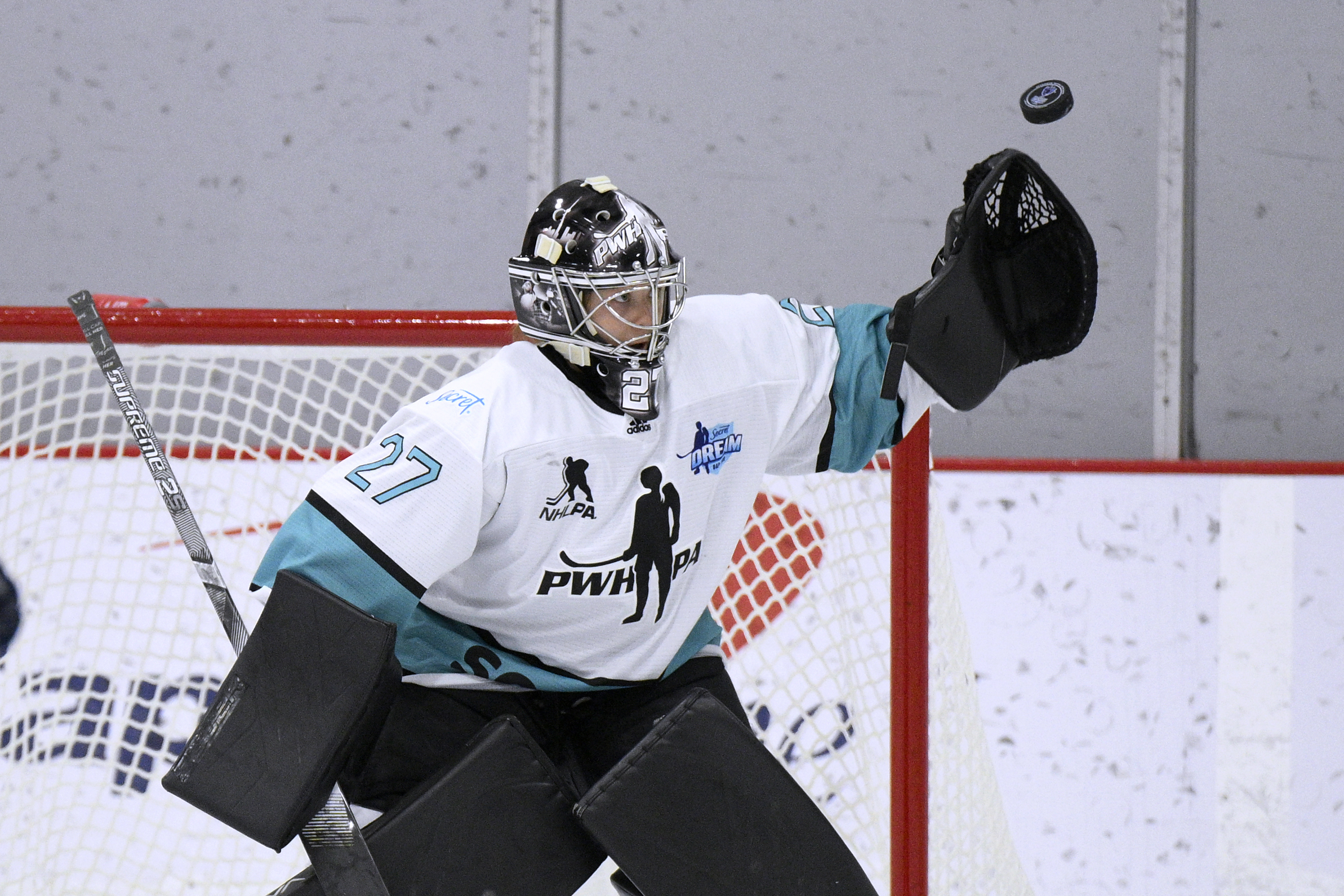 PHF PWHPA Purchase Hockey