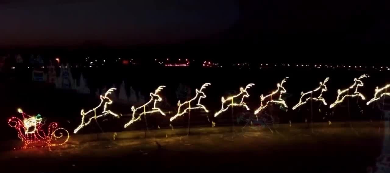Lights.jpg