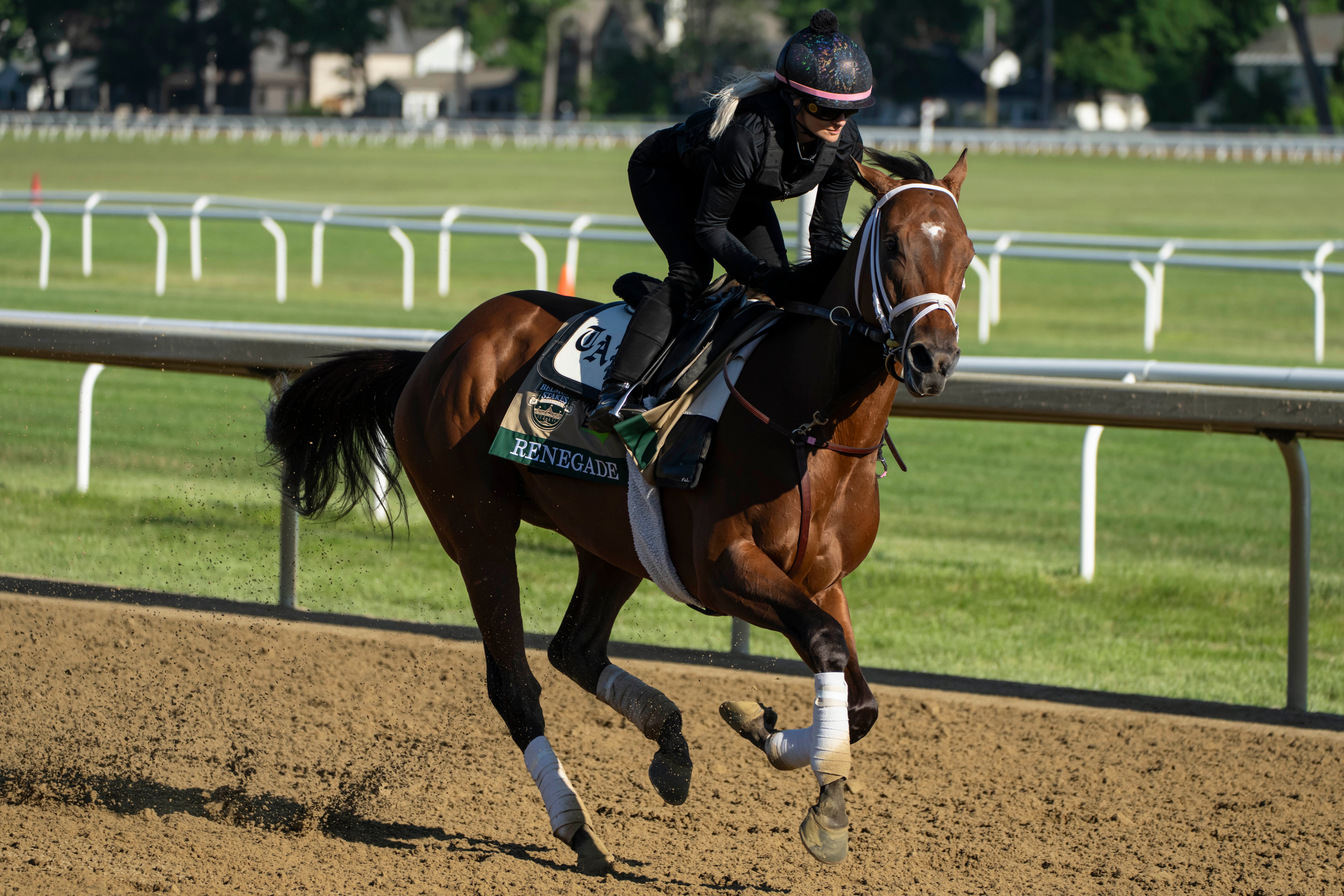 Belmont Stakes Horse Racing