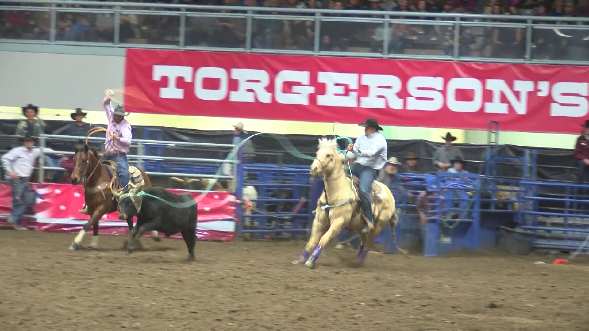 Montana PRCA Rodeo in Great Falls