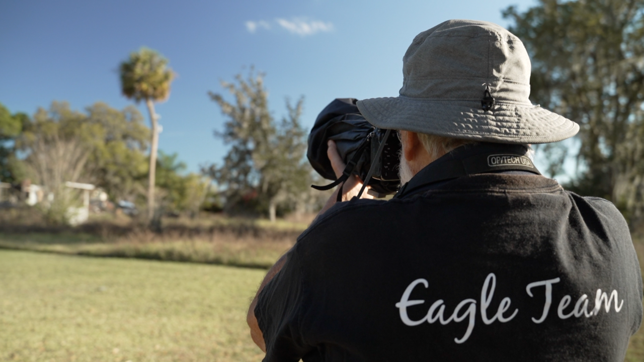 Scientists say earth is experiencing sixth mass extinction