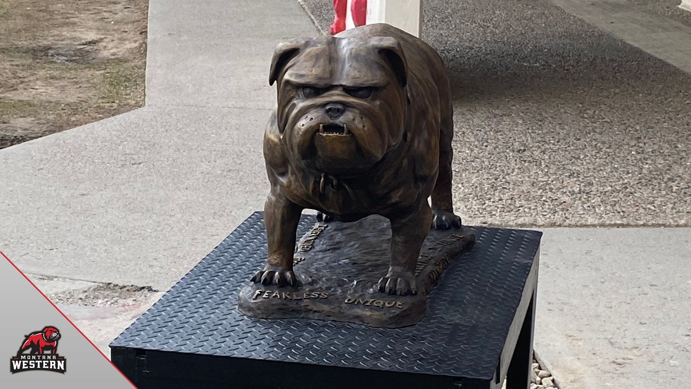 Montana Western Bulldog Statue
