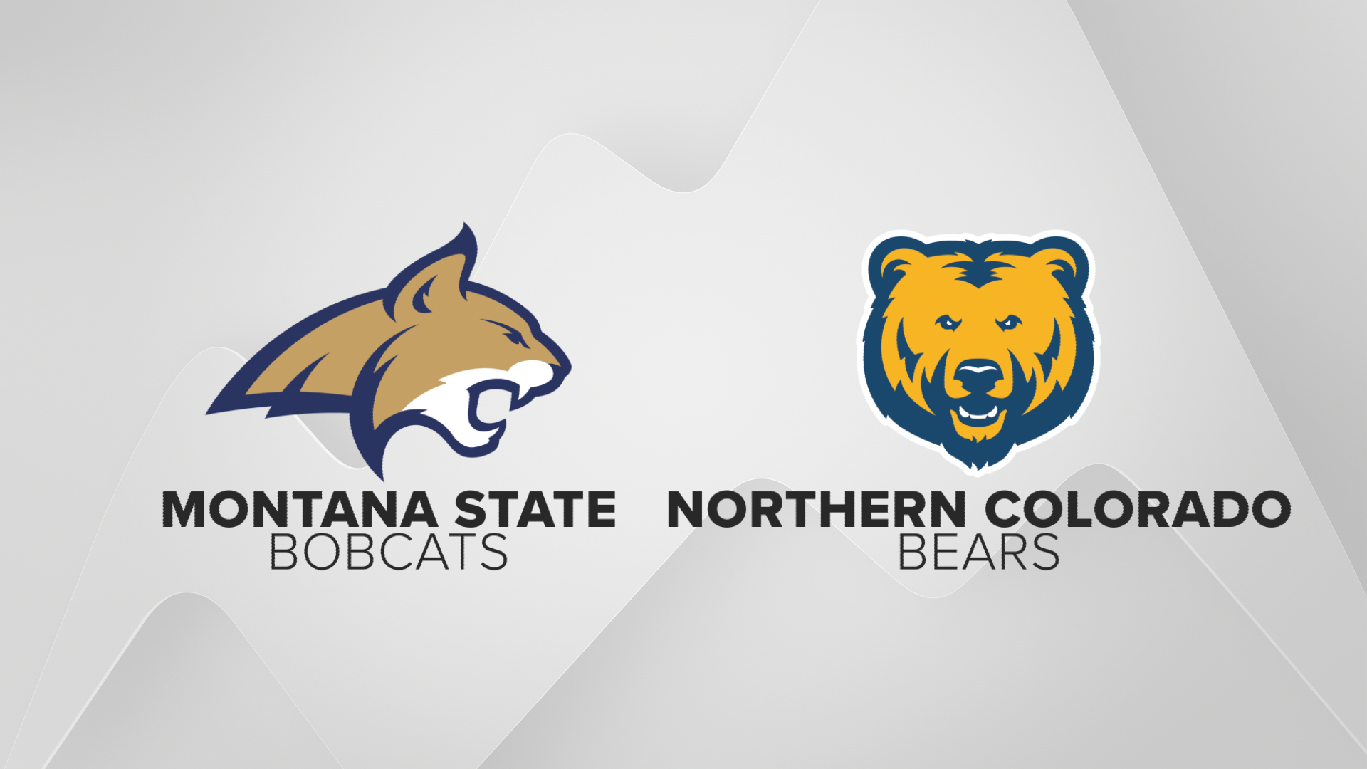 Cats Northern Colorado.png