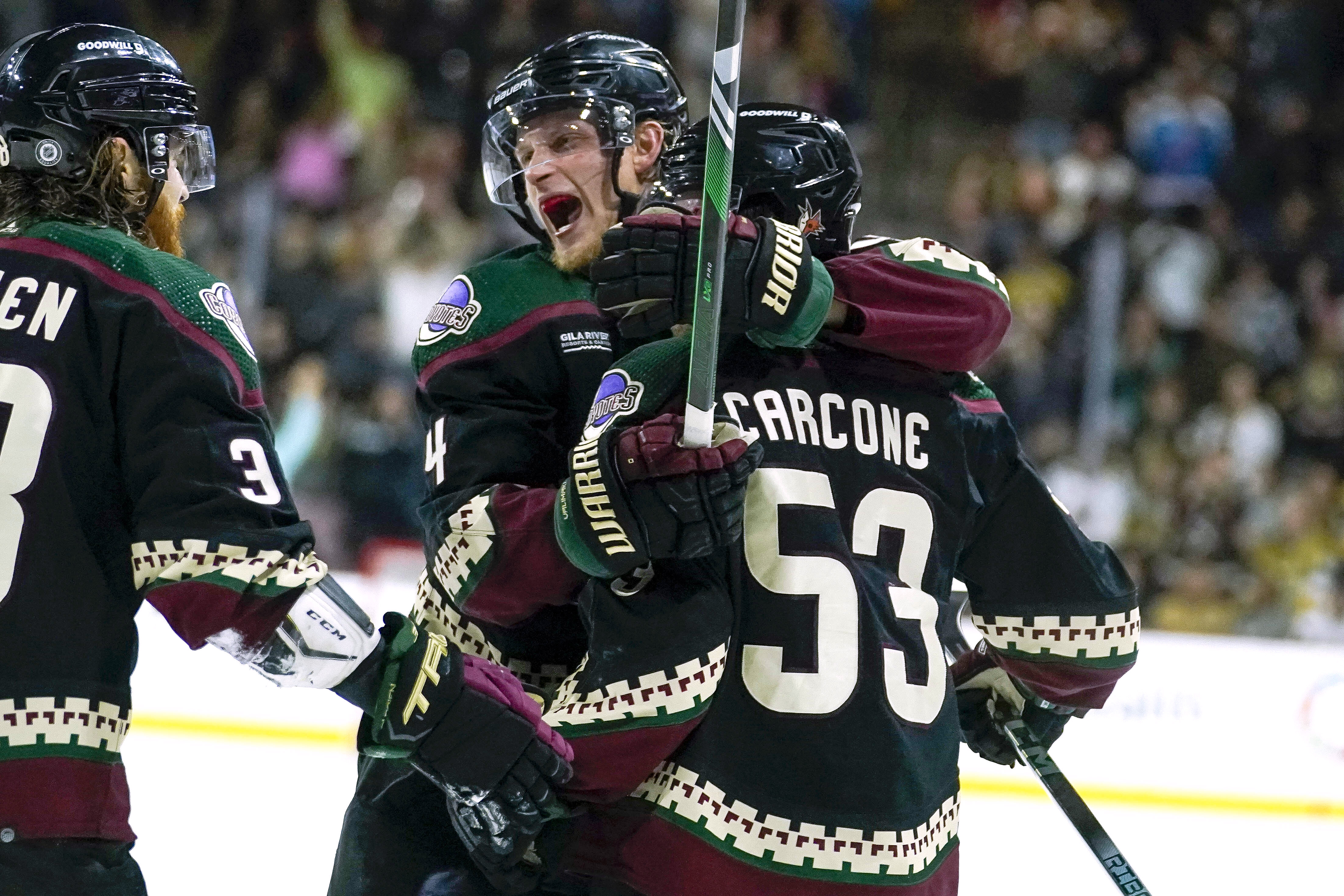 Golden Knights Coyotes Hockey