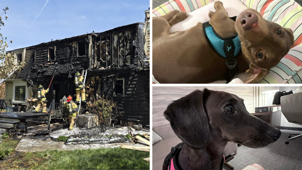 taylor thumbnails - 2026-04-20T112725.427.png