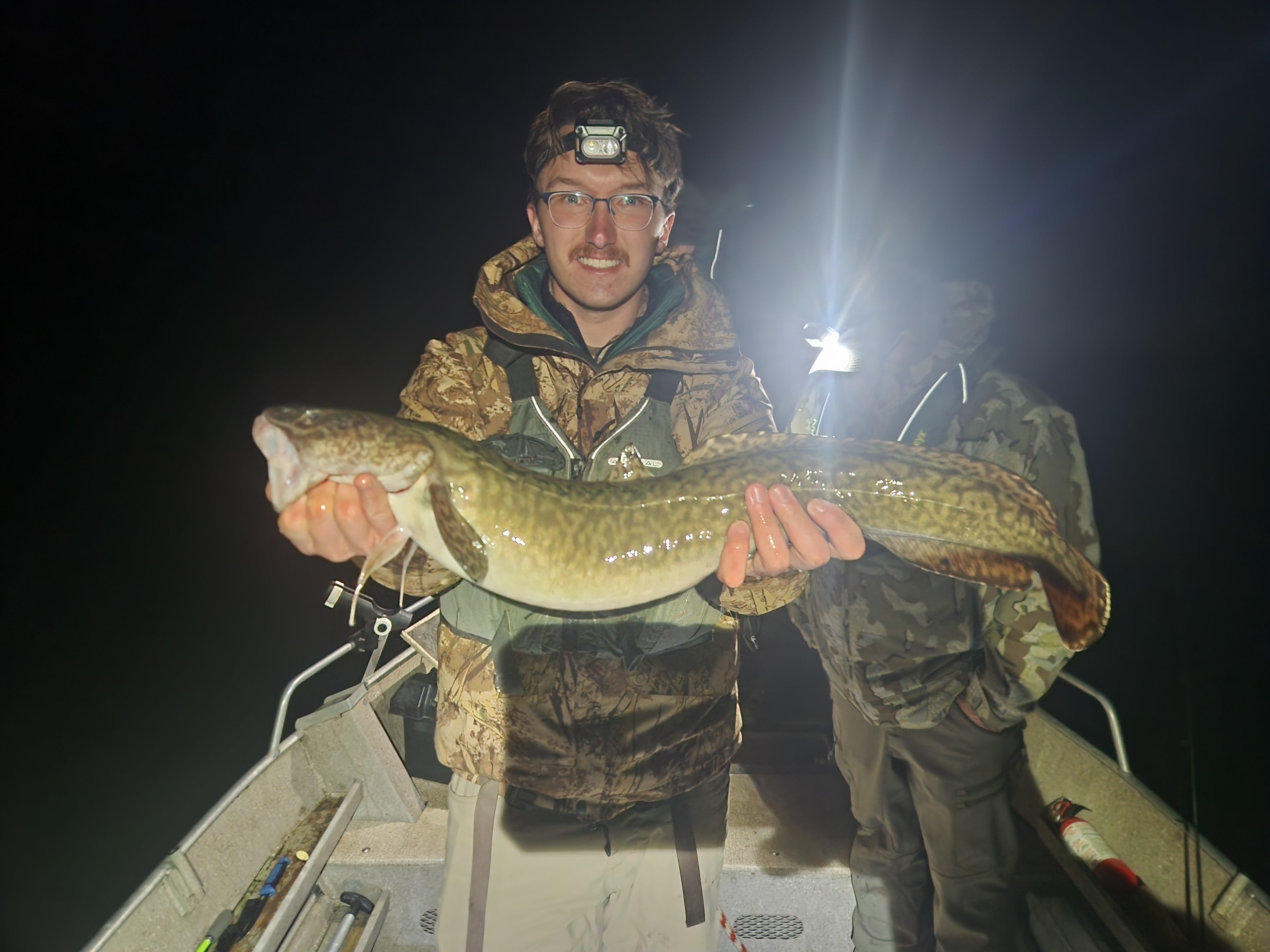 Burbot.jpeg