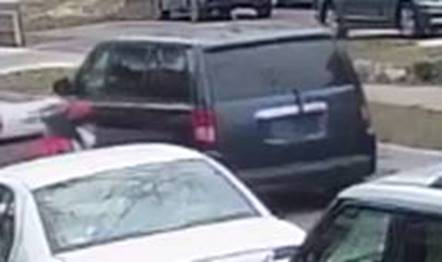 vine neighborhood shooting.jpg