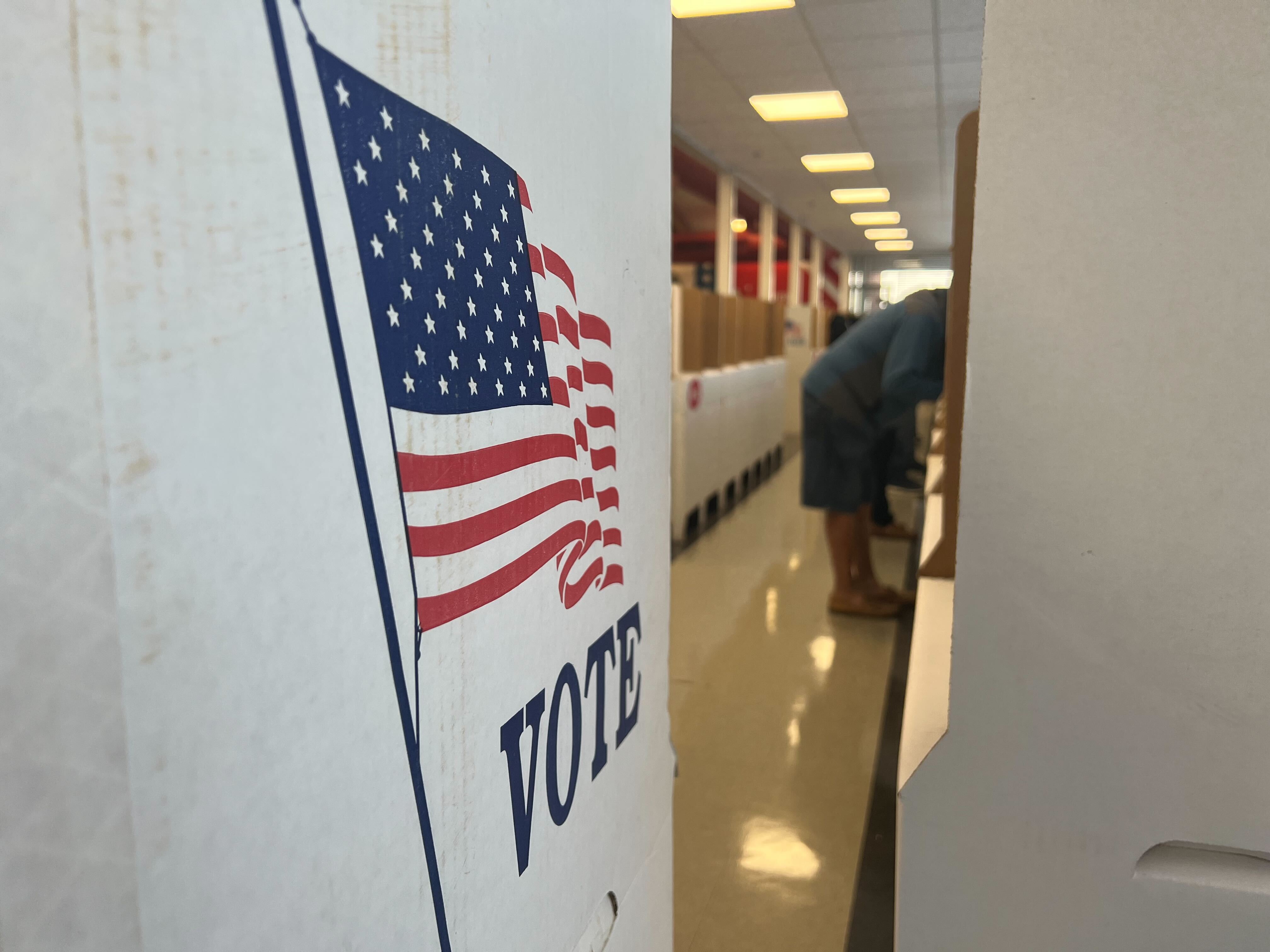Generic voting picture