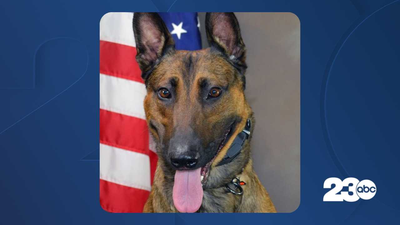 K9 Jango