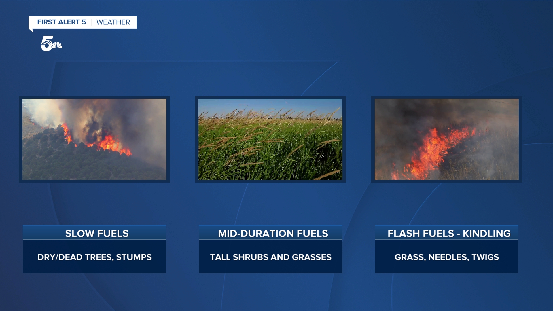 Wildfire Fuel Types