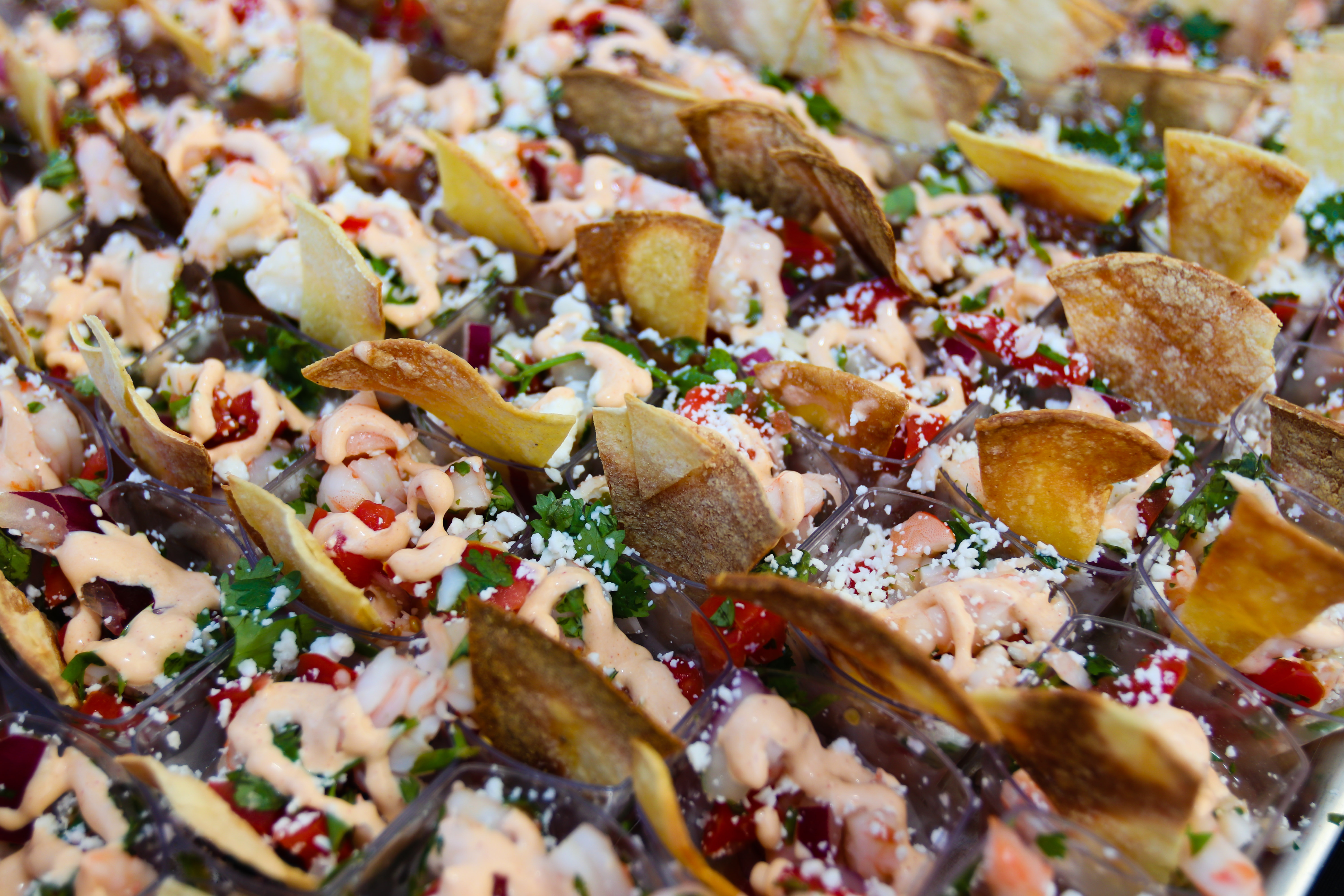 Food at Clearwater Beach Taste Fest.jpg