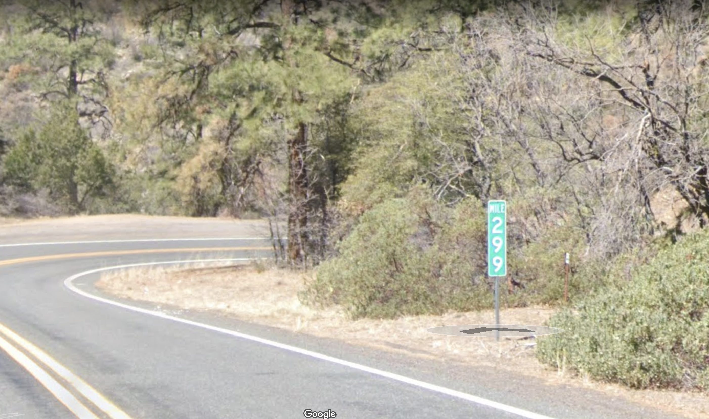 Arleen Cilione murder area