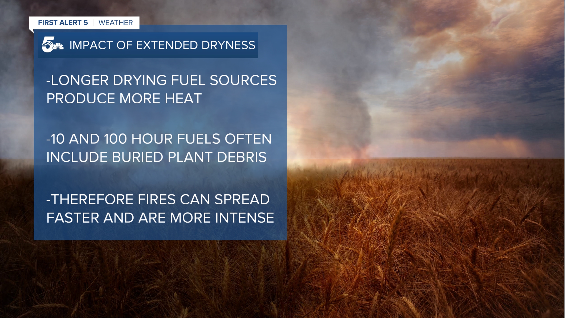 Grass fires are the classical spring threat in southern Colorado - they are one hour fuels. The National Interagency Fire Center's latest analysis shows that much larger fuels - including 100 hour fuels - are also critically dry now across southern Colorado. These include larger dormant shrubs, tall grasses, and deadwood. 