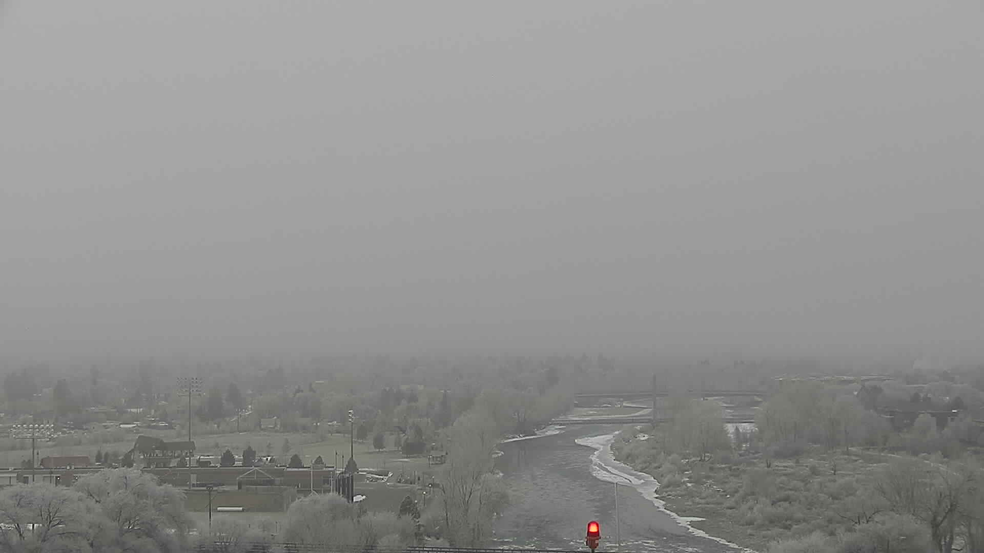 MSO Eyecam Fog 1304