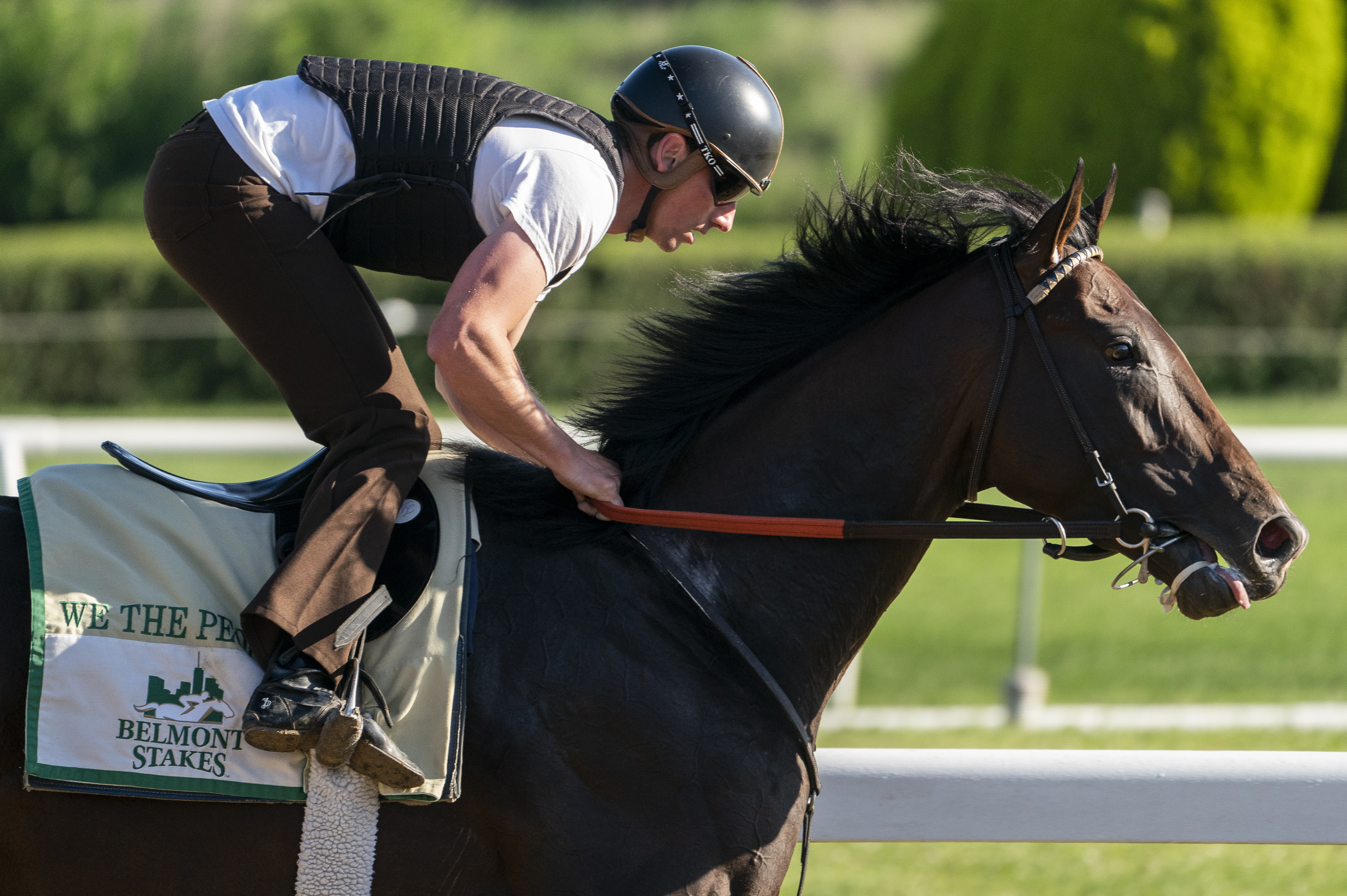 Belmont Horse Racing