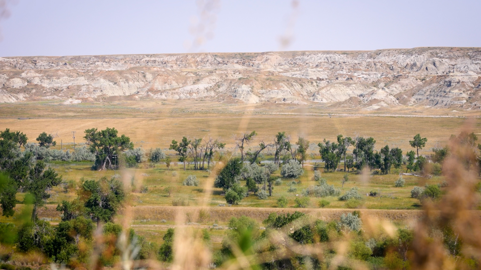 milk river study board.jpg