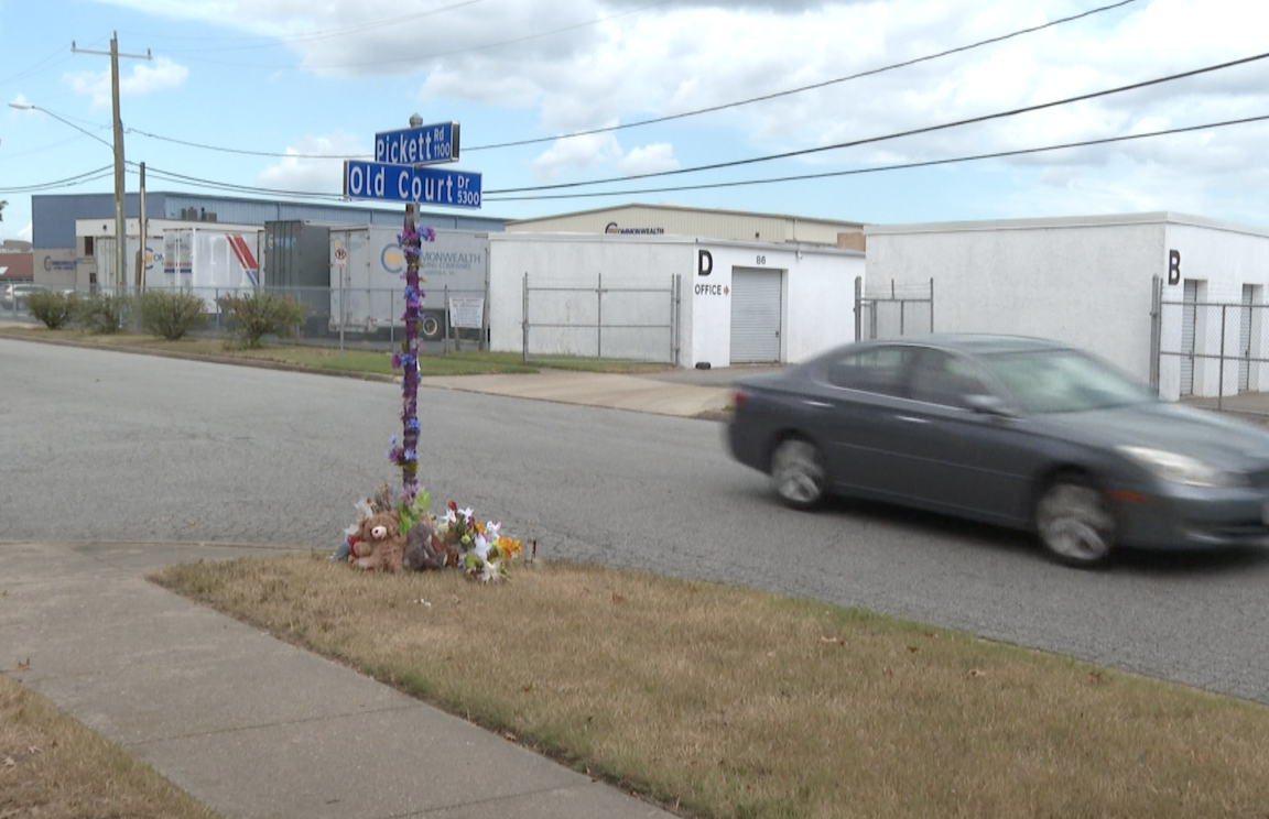 Jailynn hit and killed on Pickett Road