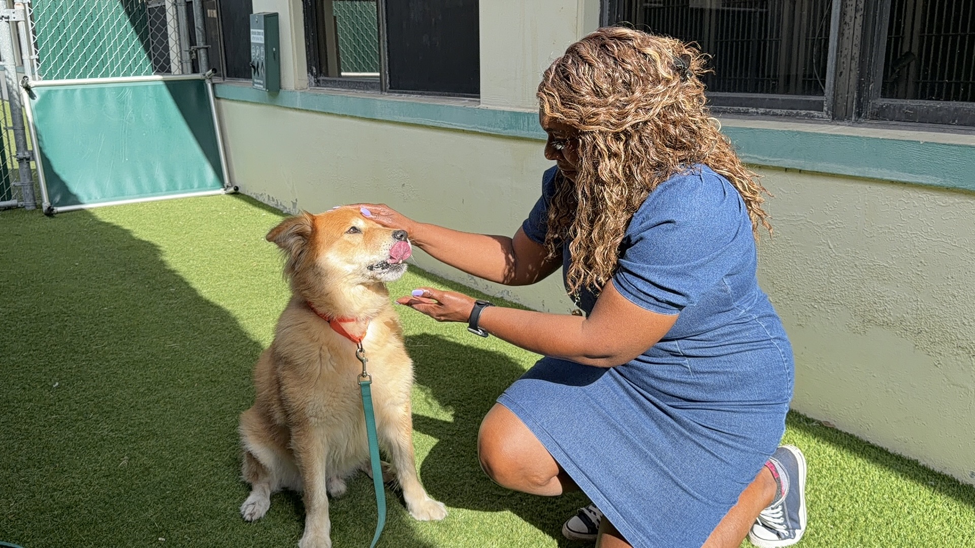 Tania Rogers and Cutler Underdog