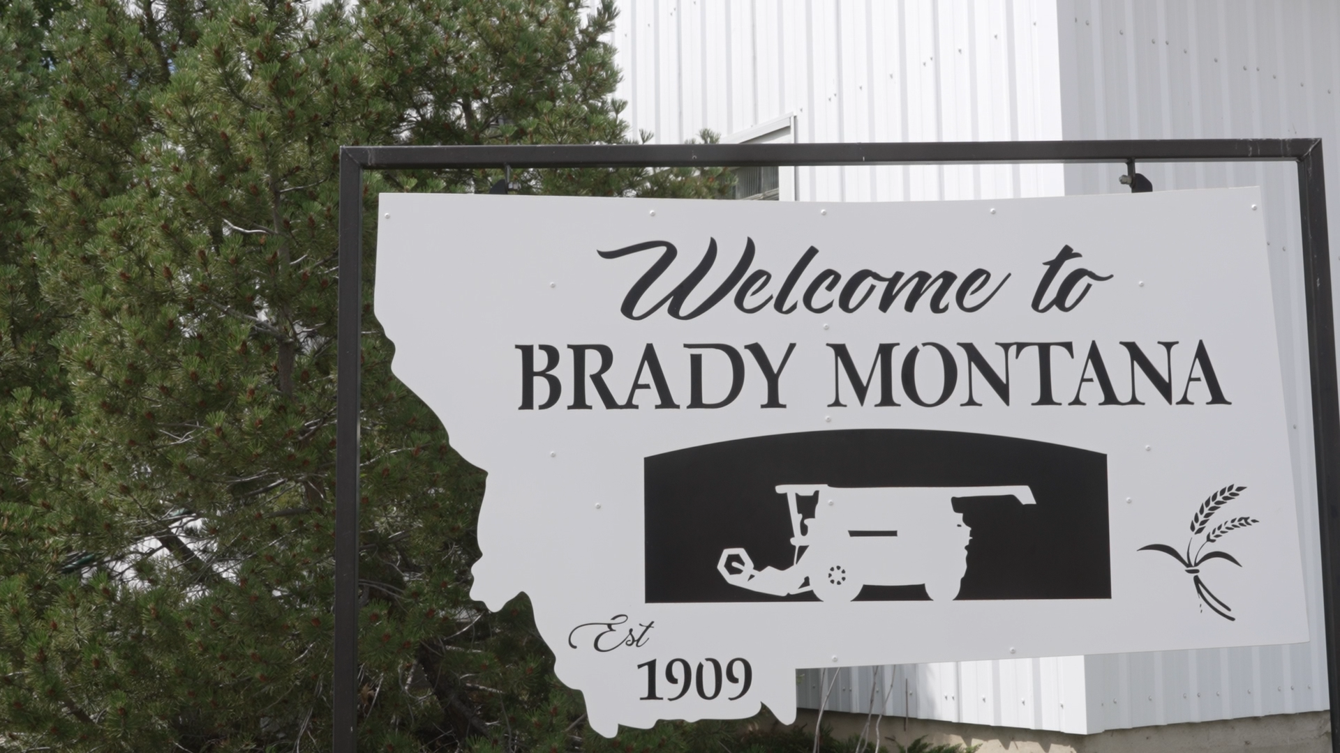 BRADY.png